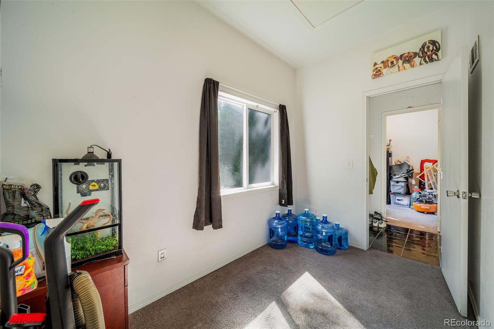 MLS Image #8 for 304  cameron street,brush, Colorado