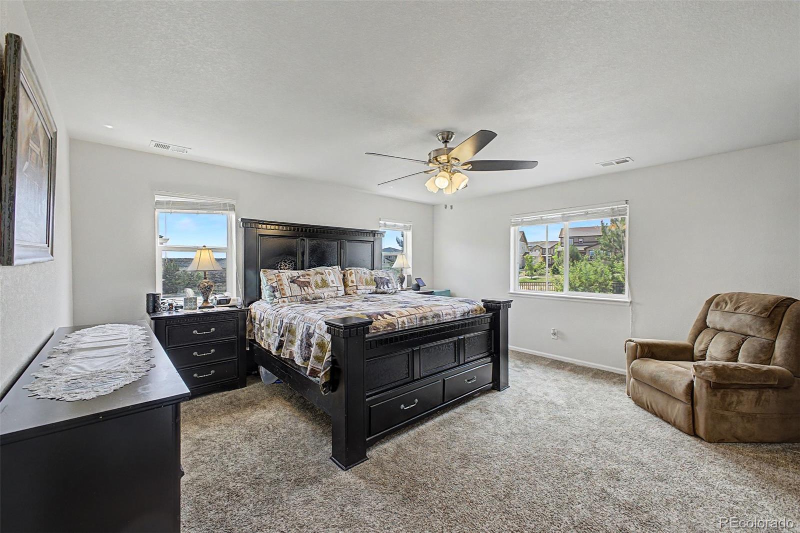 MLS Image #19 for 7514  blue water drive,castle rock, Colorado