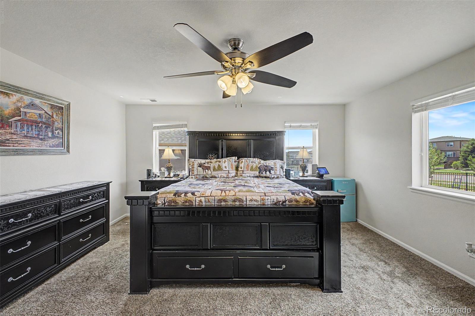 MLS Image #20 for 7514  blue water drive,castle rock, Colorado