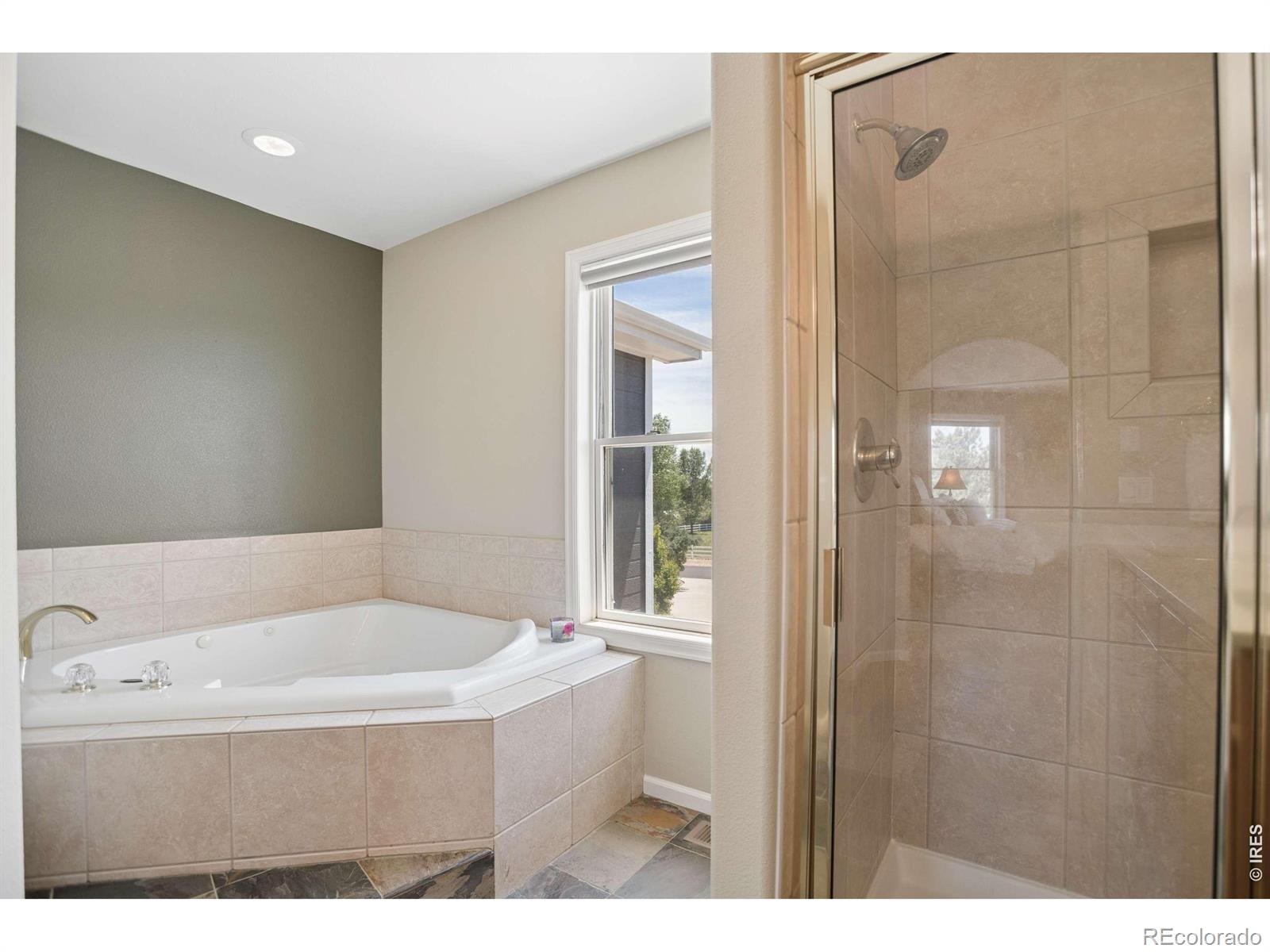 MLS Image #12 for 3795  whitetail court,mead, Colorado