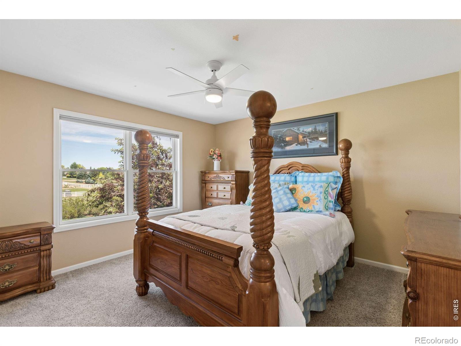 MLS Image #13 for 3795  whitetail court,mead, Colorado