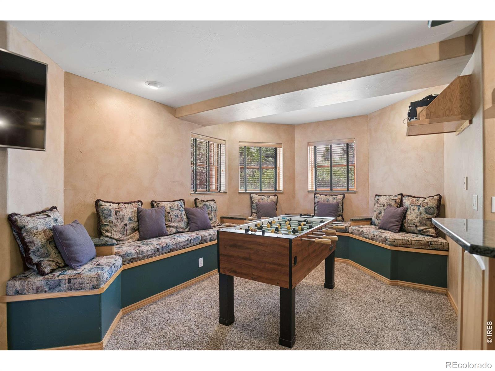 MLS Image #21 for 3795  whitetail court,mead, Colorado