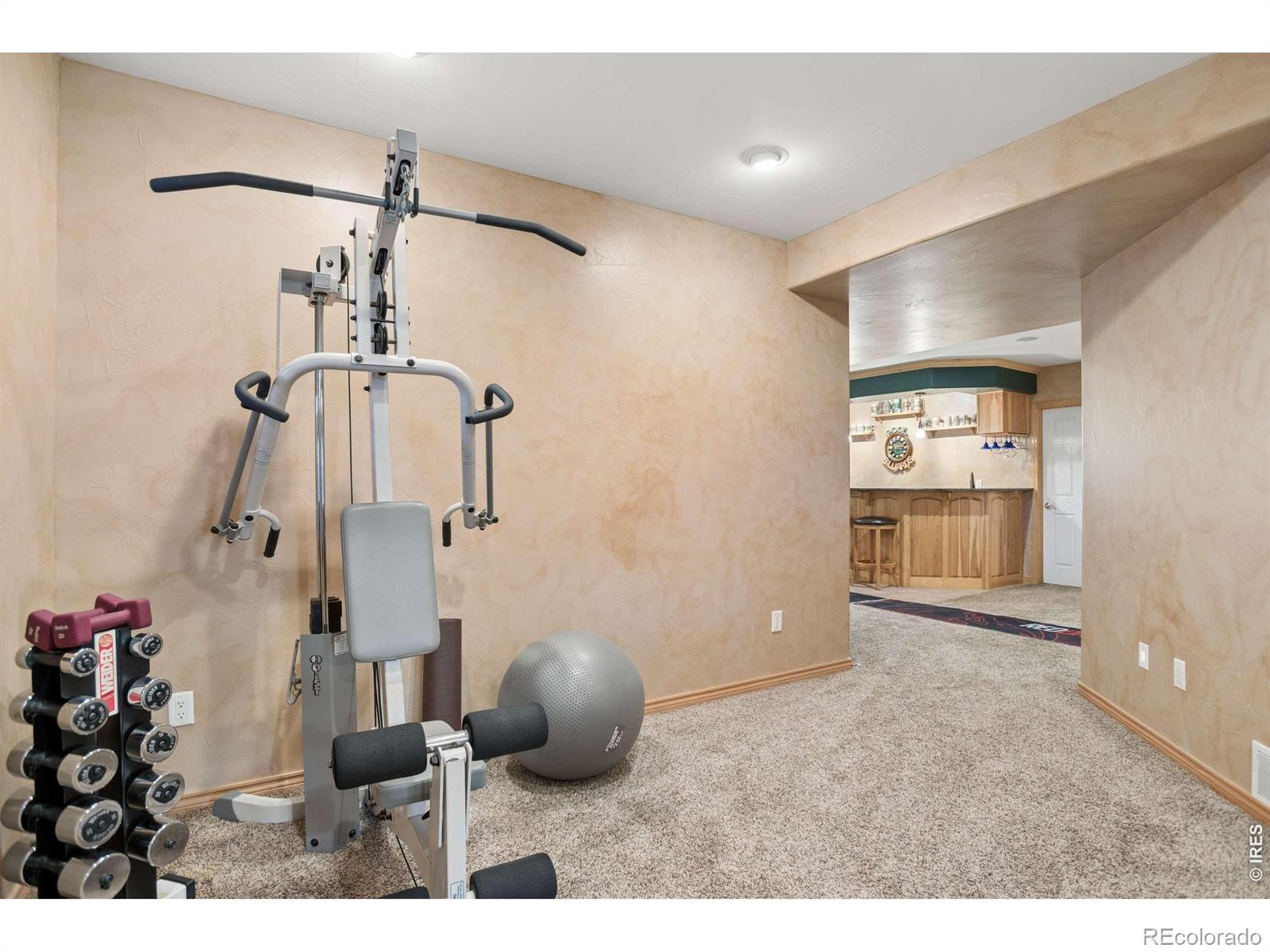 MLS Image #23 for 3795  whitetail court,mead, Colorado