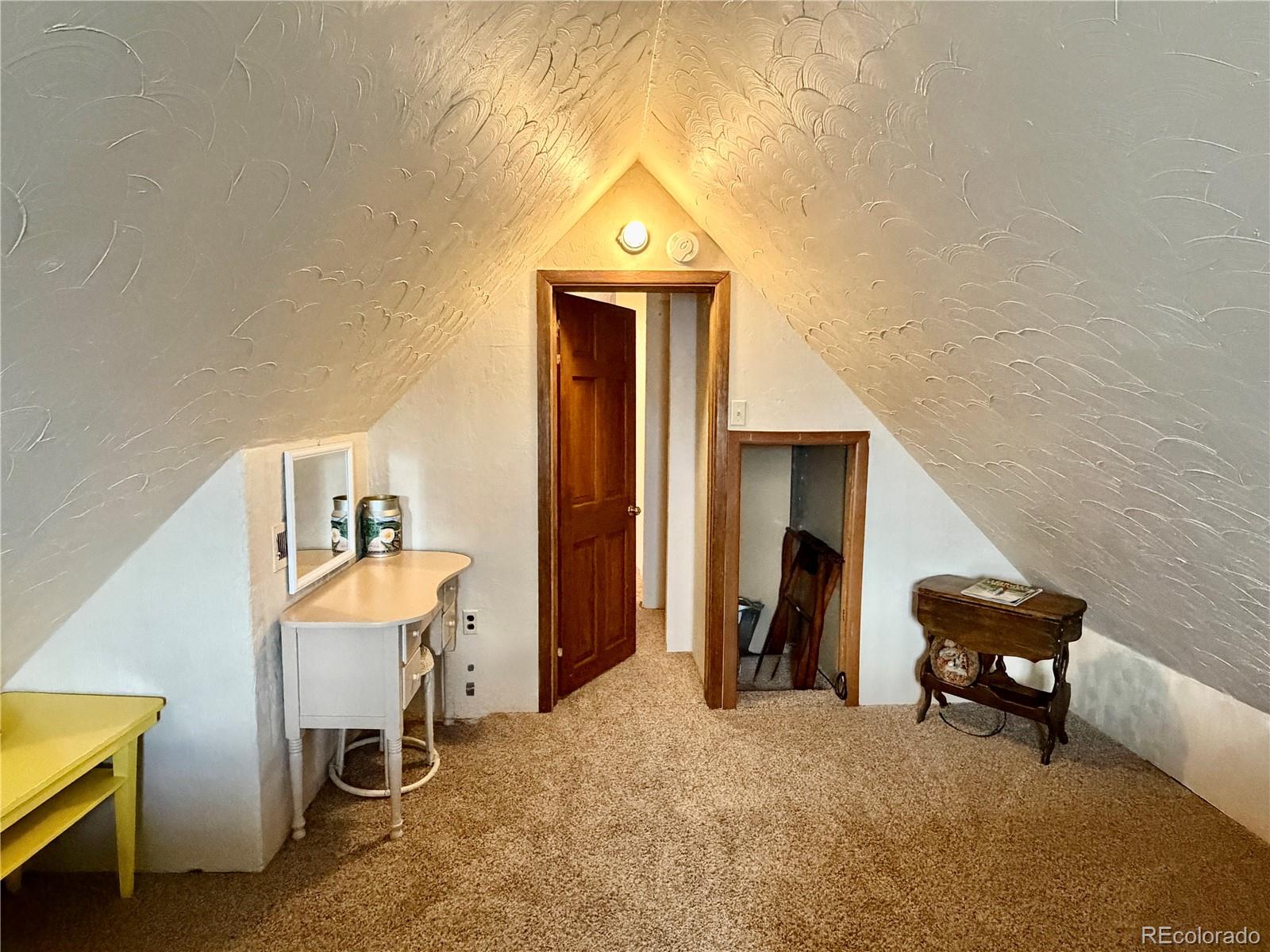 MLS Image #16 for 119 e 14th street,leadville, Colorado