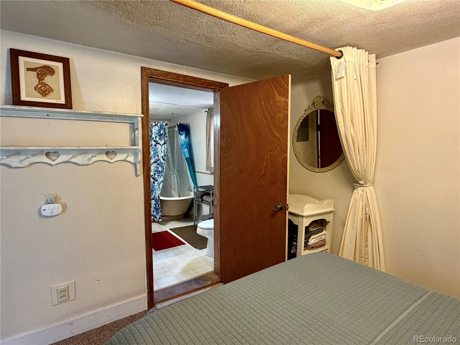 MLS Image #9 for 119 e 14th street,leadville, Colorado