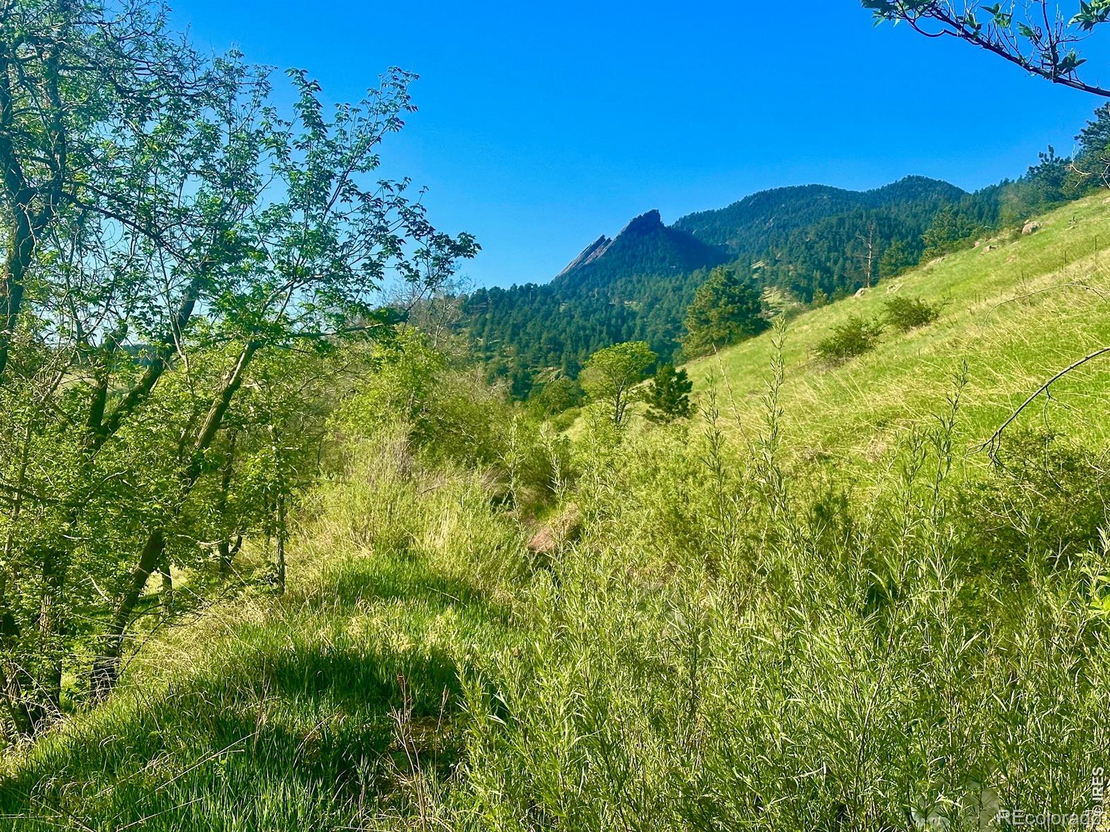 MLS Image #11 for 2235  knollwood drive,boulder, Colorado