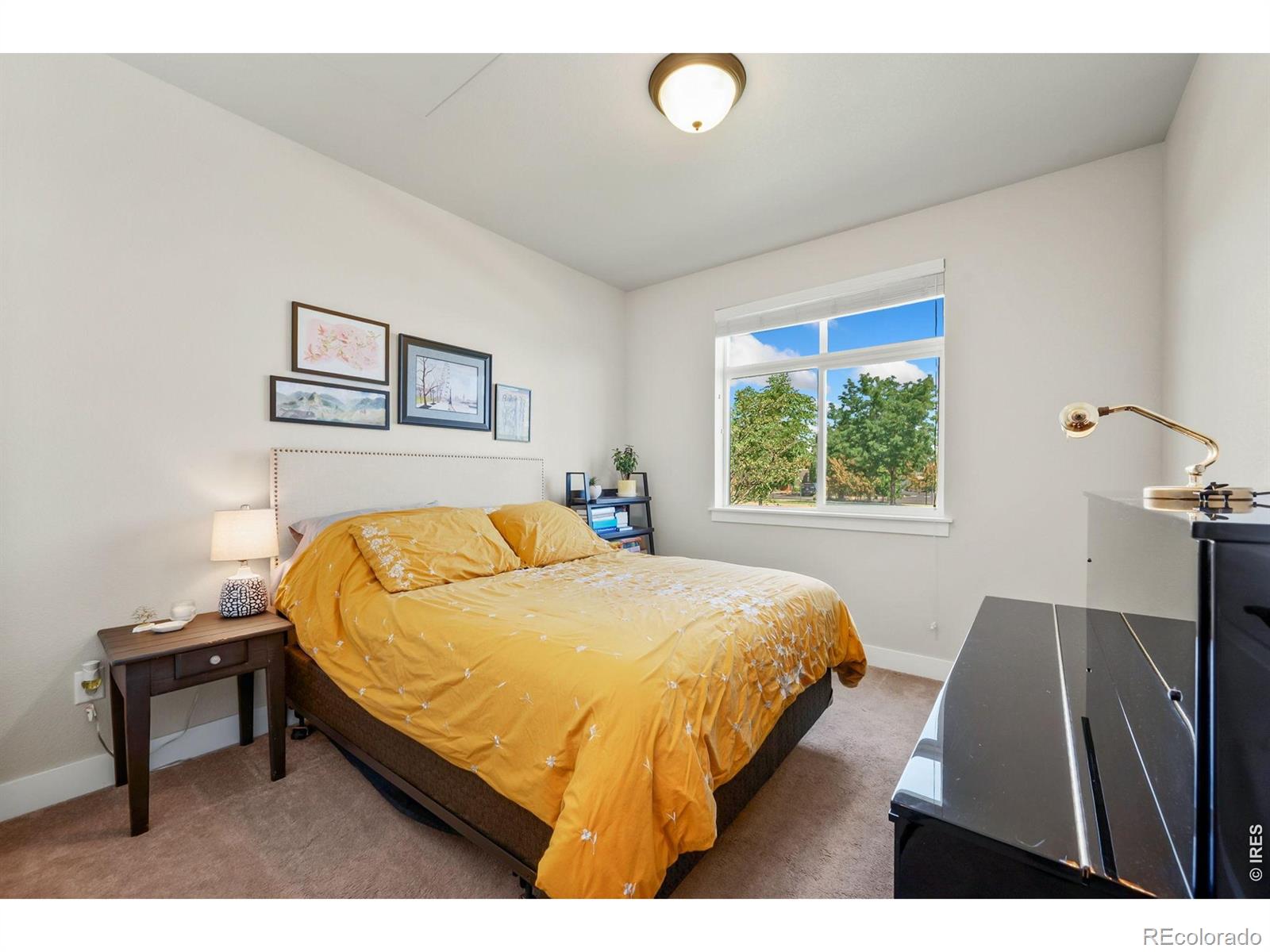 MLS Image #18 for 2608  kansas drive,fort collins, Colorado
