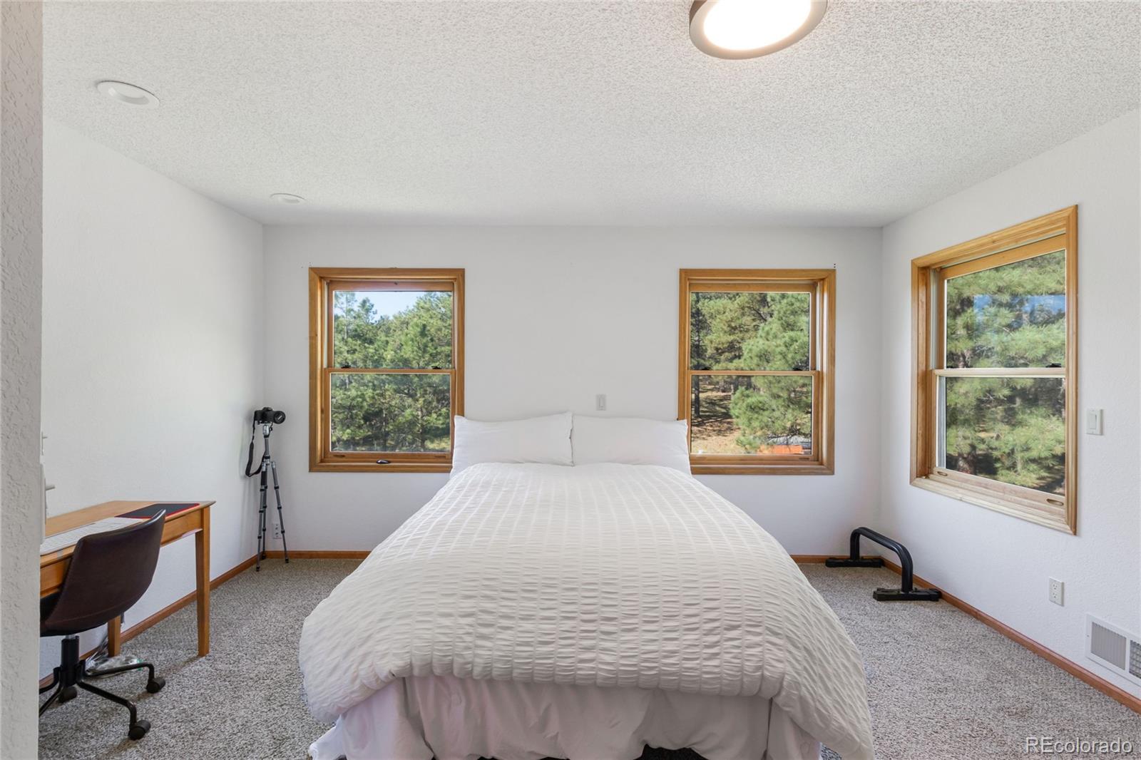 MLS Image #10 for 18673 n elbert road,elbert, Colorado