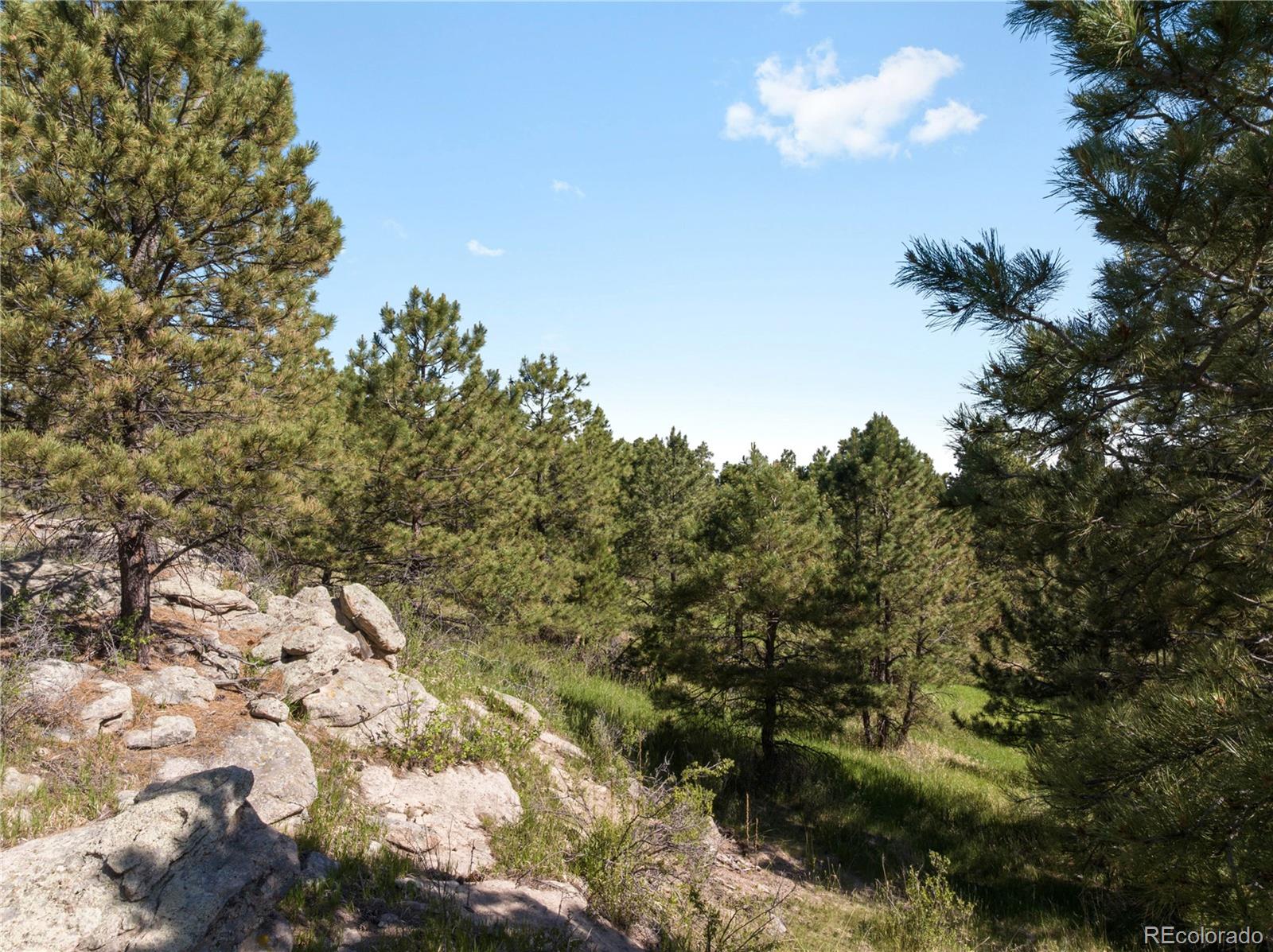 MLS Image #2 for 18673 n elbert road,elbert, Colorado