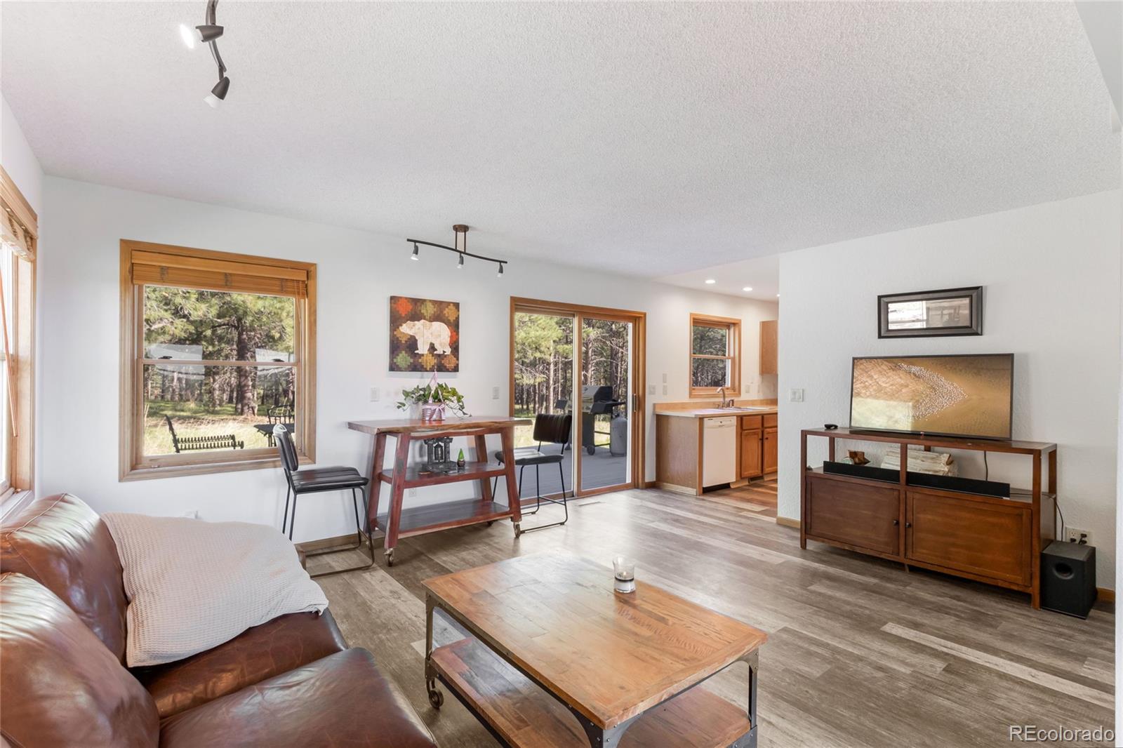 MLS Image #3 for 18673 n elbert road,elbert, Colorado