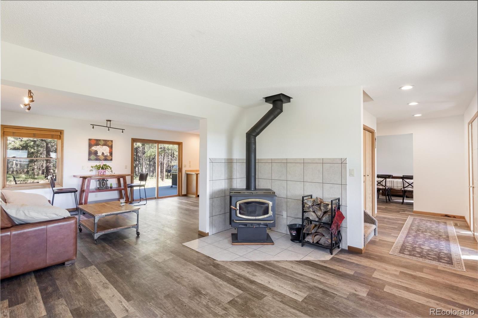MLS Image #4 for 18673 n elbert road,elbert, Colorado