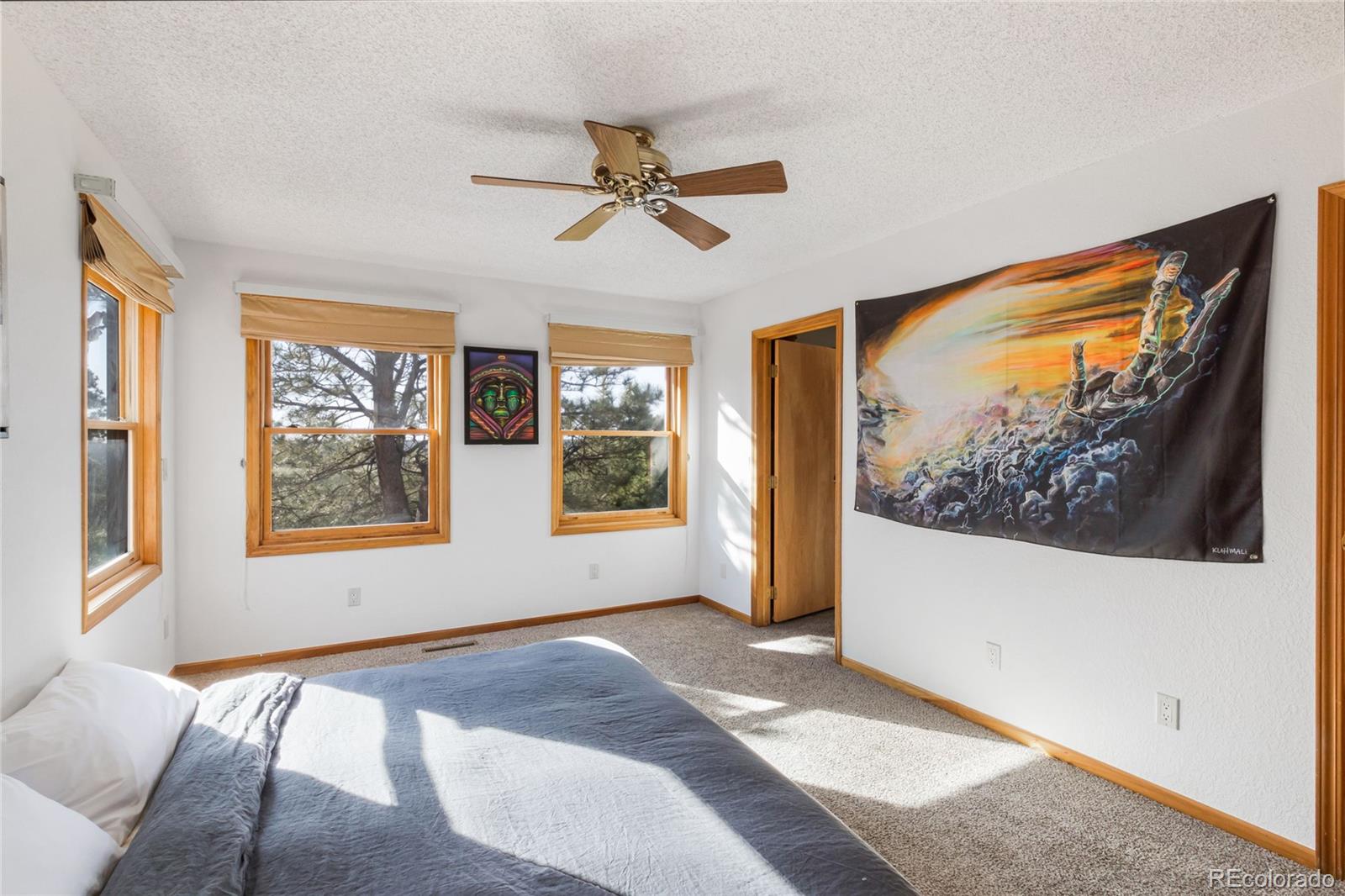 MLS Image #8 for 18673 n elbert road,elbert, Colorado