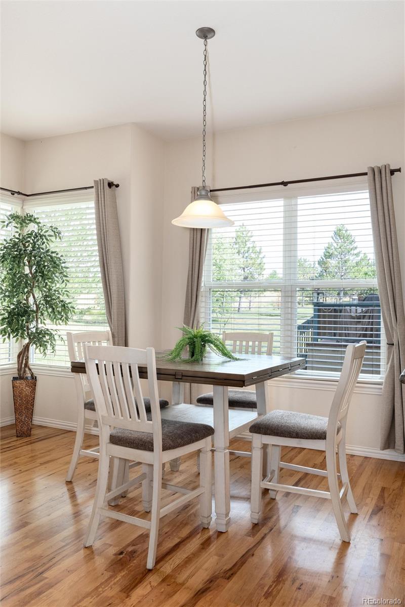 MLS Image #11 for 7100 s coolidge court,aurora, Colorado