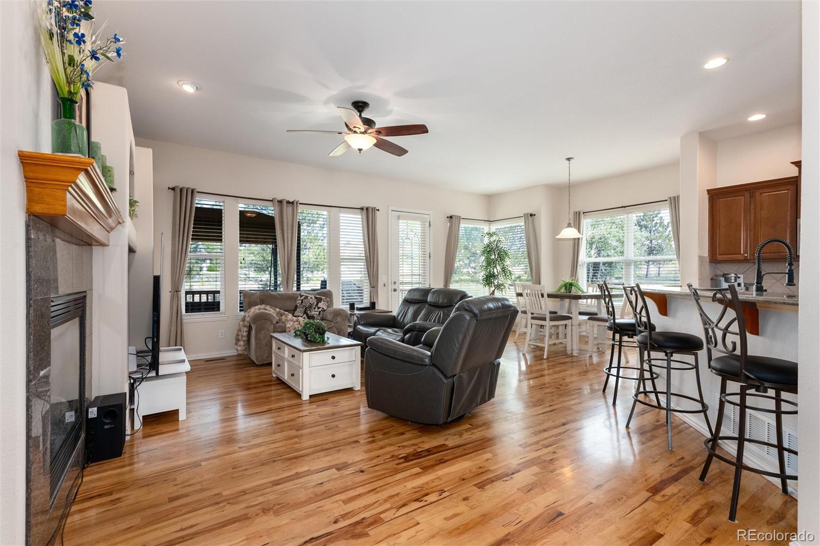 MLS Image #3 for 7100 s coolidge court,aurora, Colorado