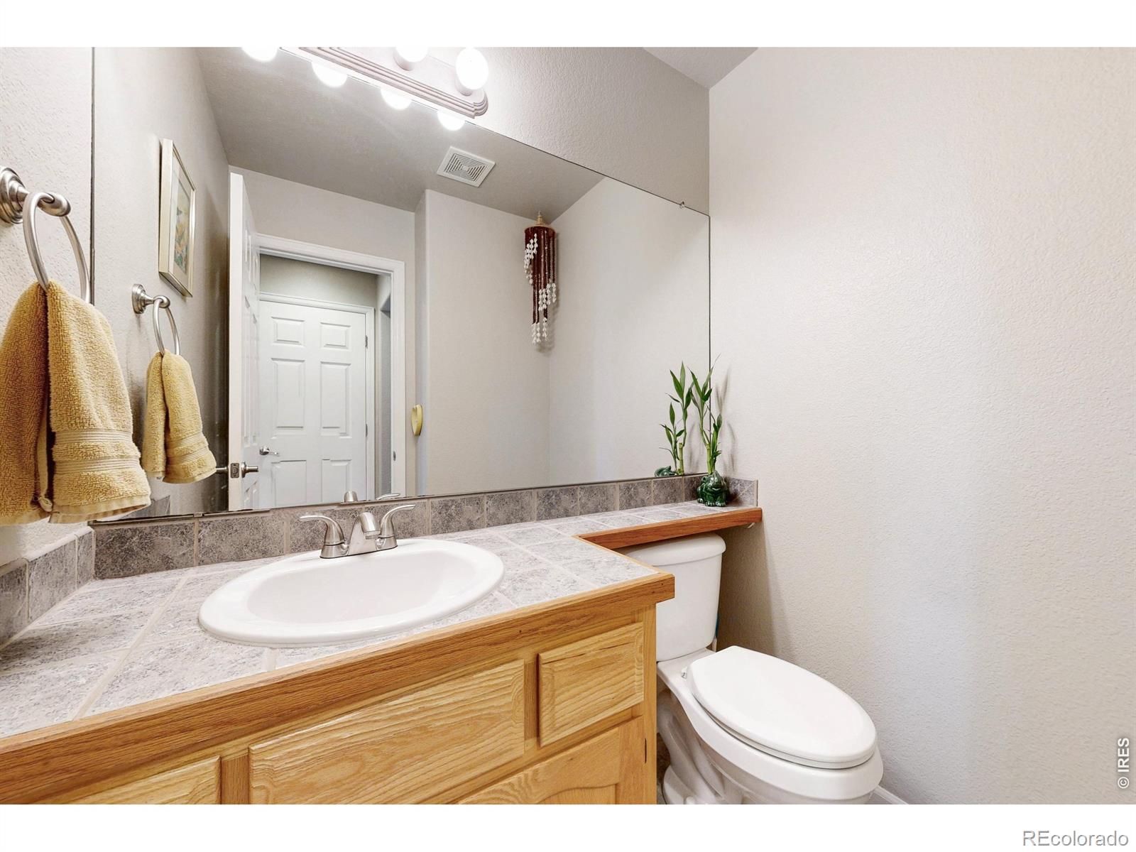 MLS Image #15 for 1231  autumn purple drive,loveland, Colorado