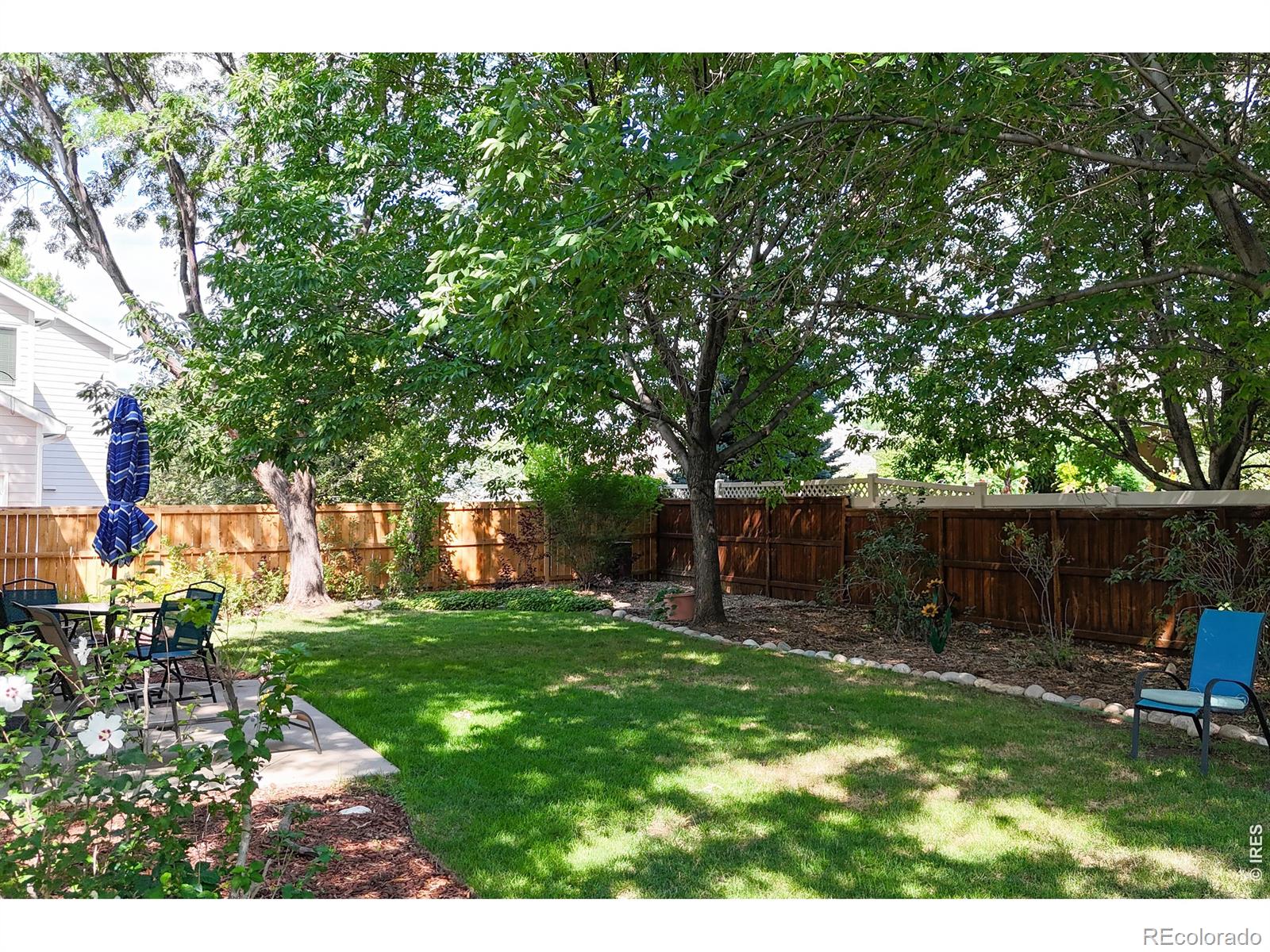 MLS Image #5 for 1231  autumn purple drive,loveland, Colorado