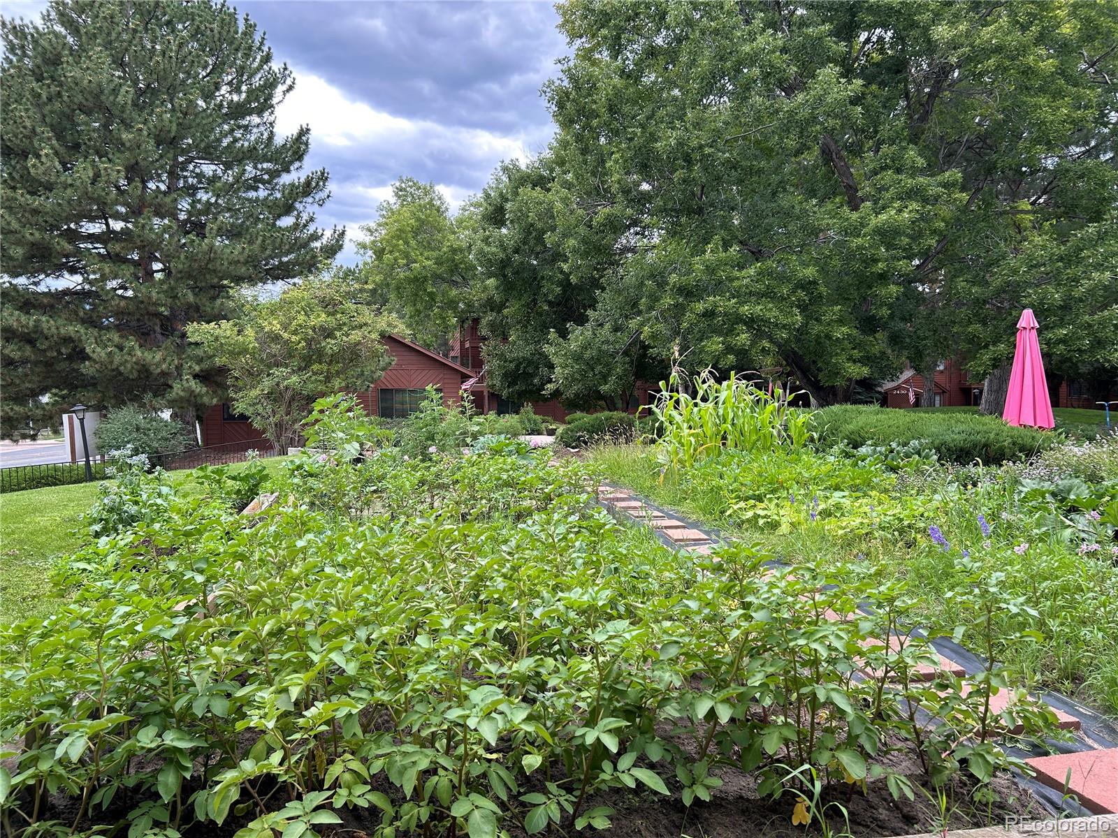 MLS Image #22 for 2440  palmer park boulevard 104,colorado springs, Colorado