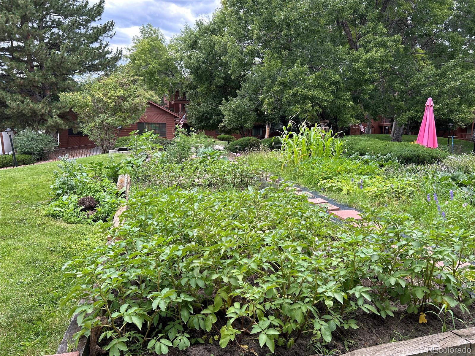 MLS Image #25 for 2440  palmer park boulevard 104,colorado springs, Colorado