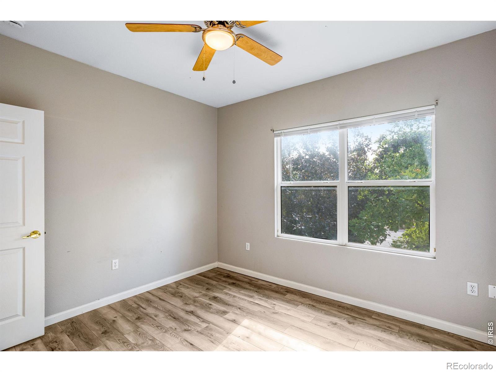 MLS Image #18 for 308  lucca drive,evans, Colorado