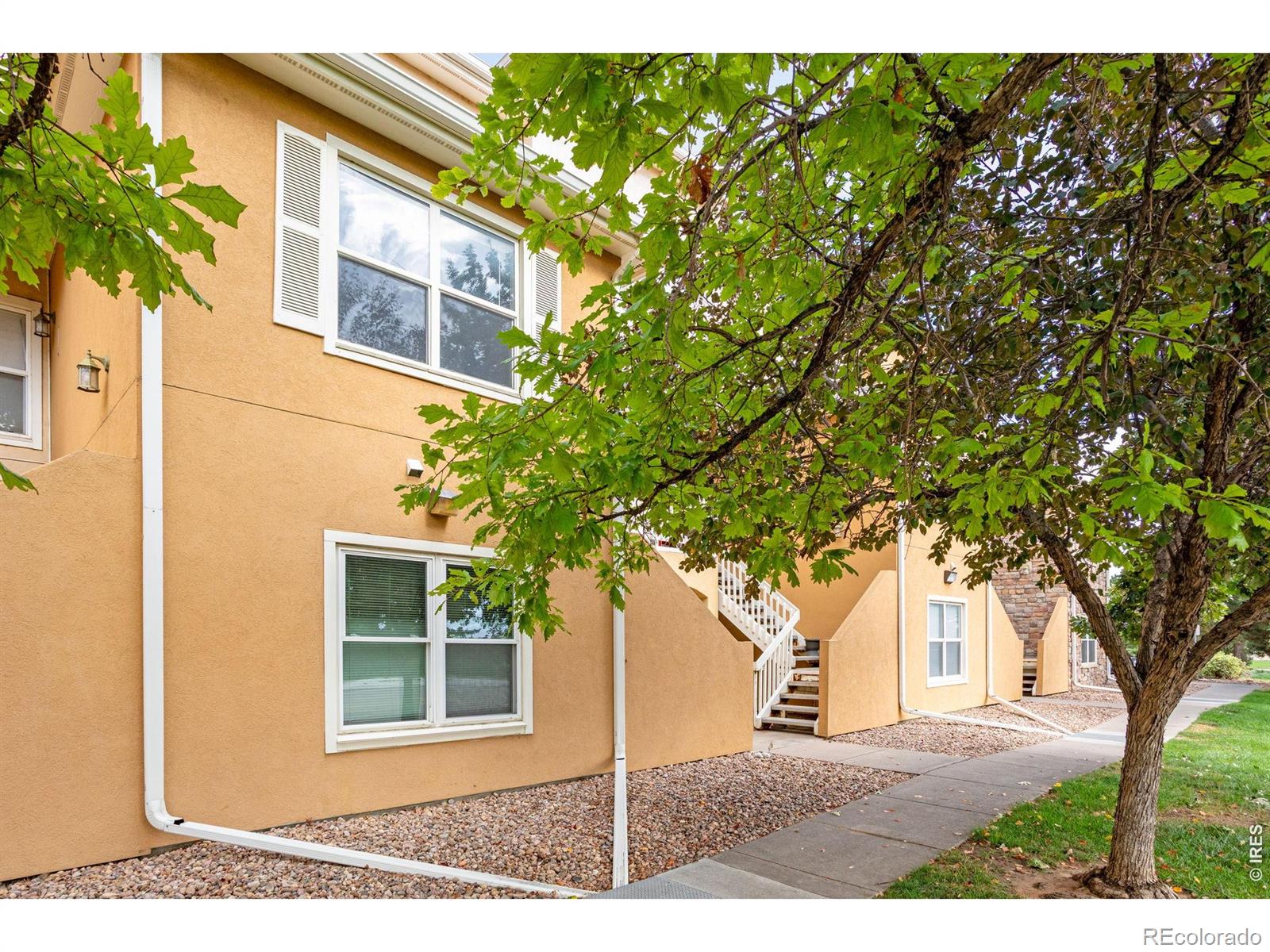 MLS Image #4 for 308  lucca drive,evans, Colorado