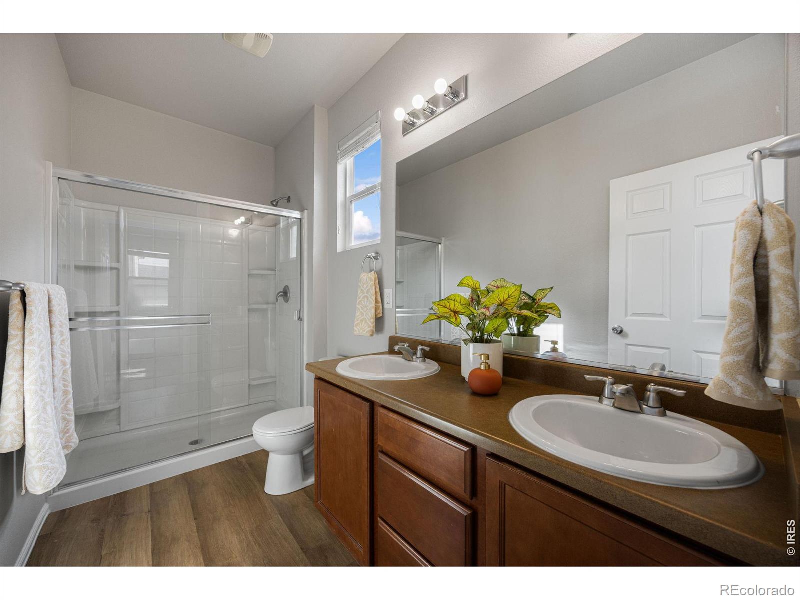 MLS Image #8 for 3622  torch lily street,wellington, Colorado
