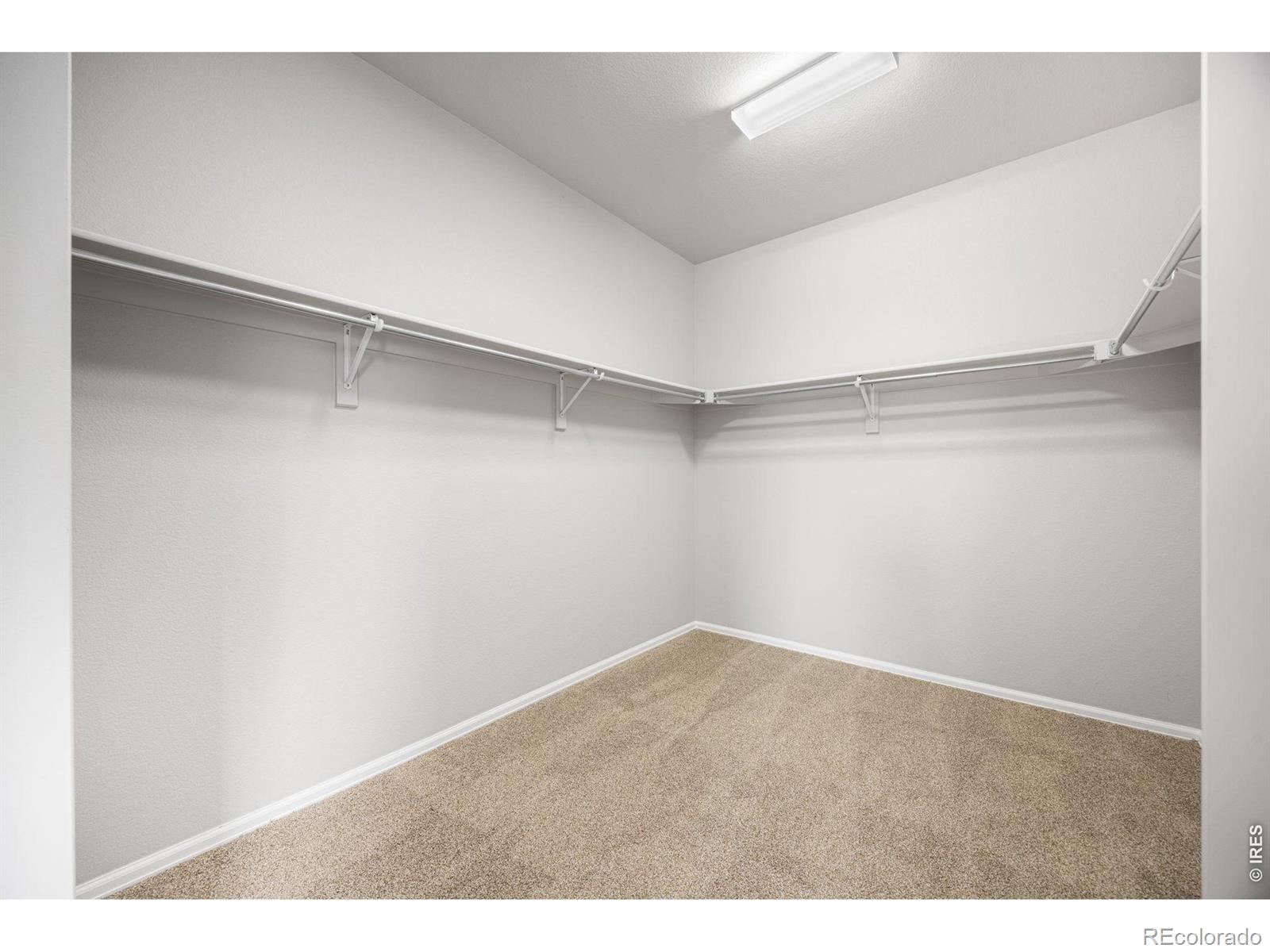 MLS Image #9 for 3622  torch lily street,wellington, Colorado