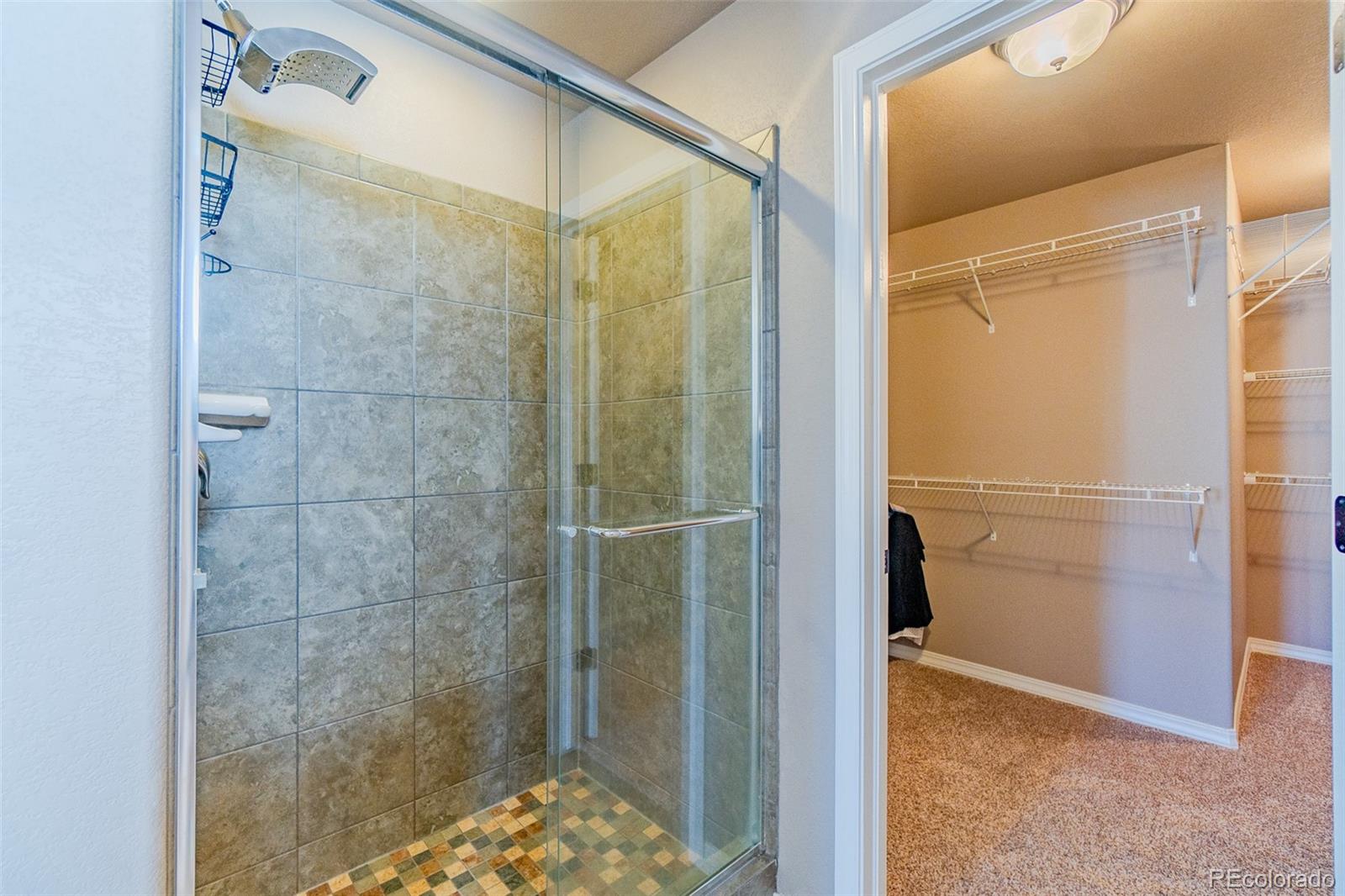 MLS Image #30 for 7247  cat tail creek drive,colorado springs, Colorado