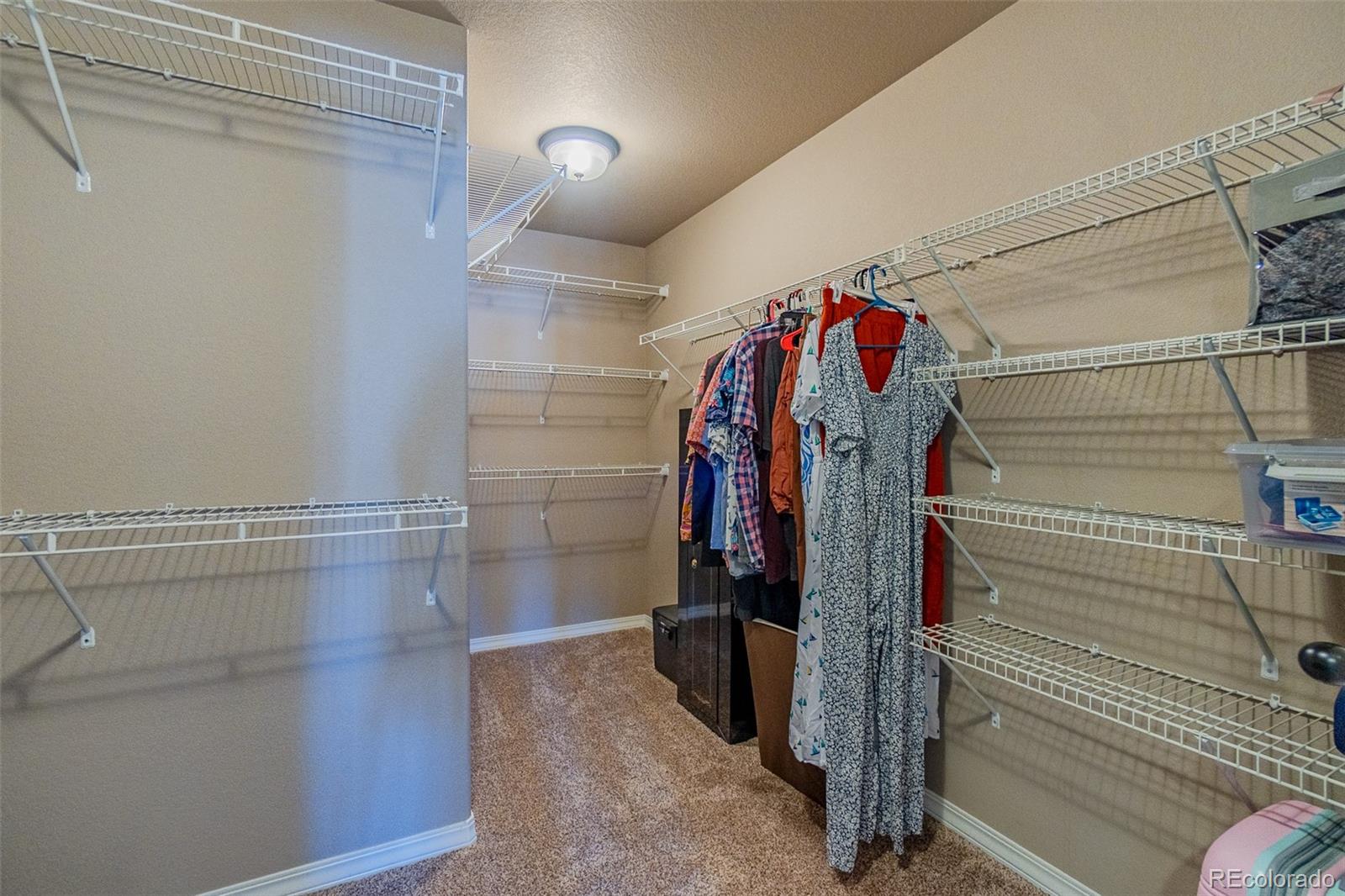 MLS Image #31 for 7247  cat tail creek drive,colorado springs, Colorado