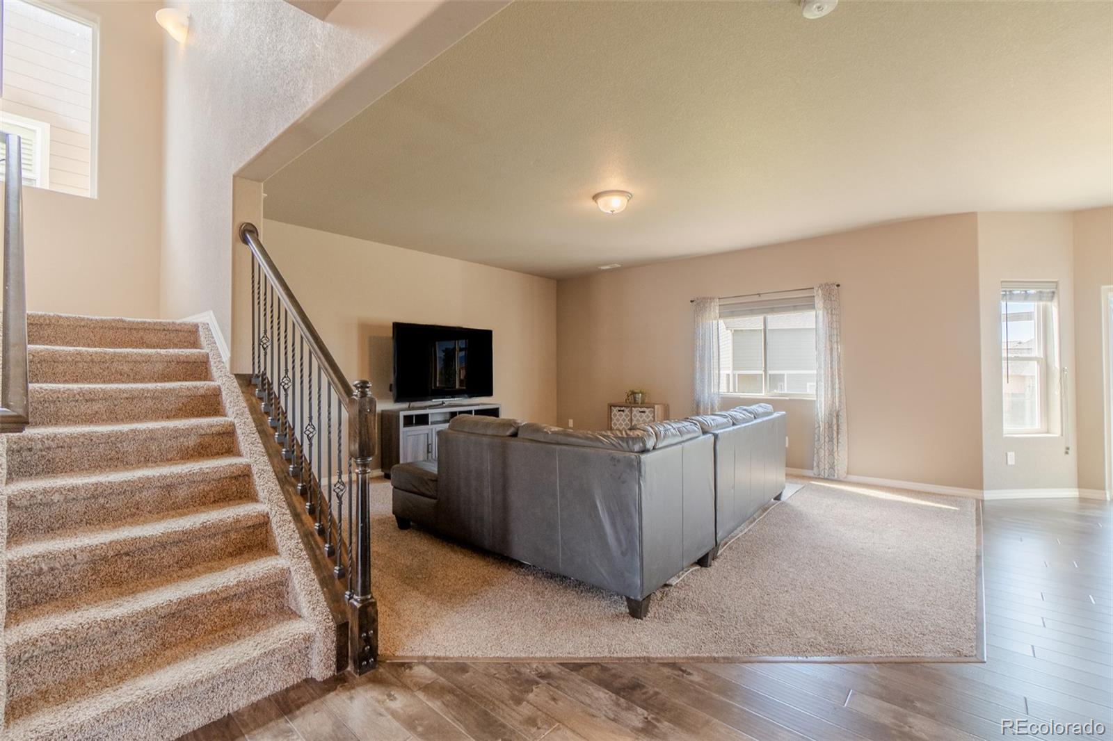 MLS Image #9 for 7247  cat tail creek drive,colorado springs, Colorado