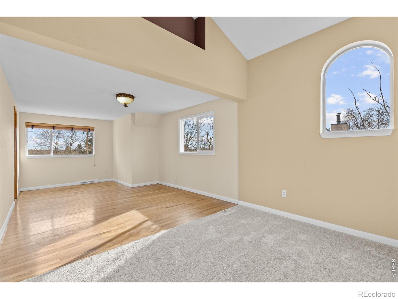 MLS Image #21 for 820  lotus way,broomfield, Colorado