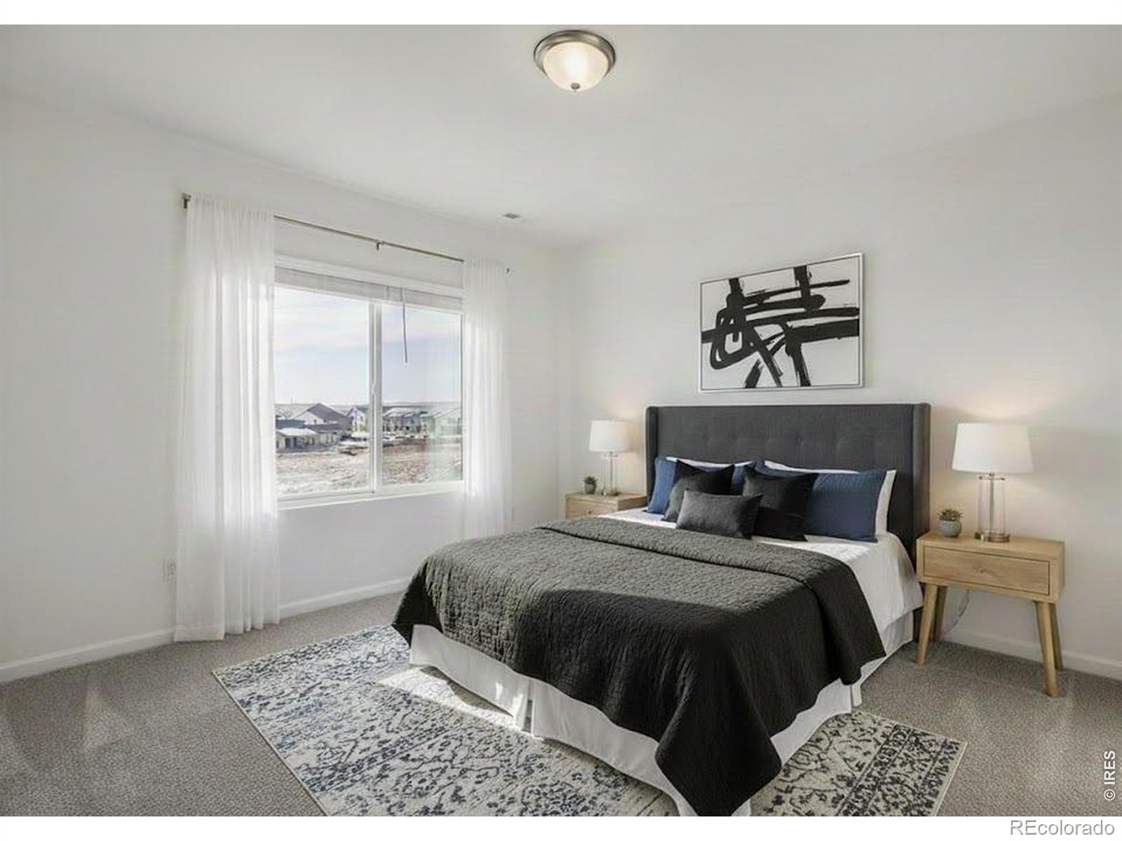 MLS Image #13 for 1002  schlagel street,fort collins, Colorado
