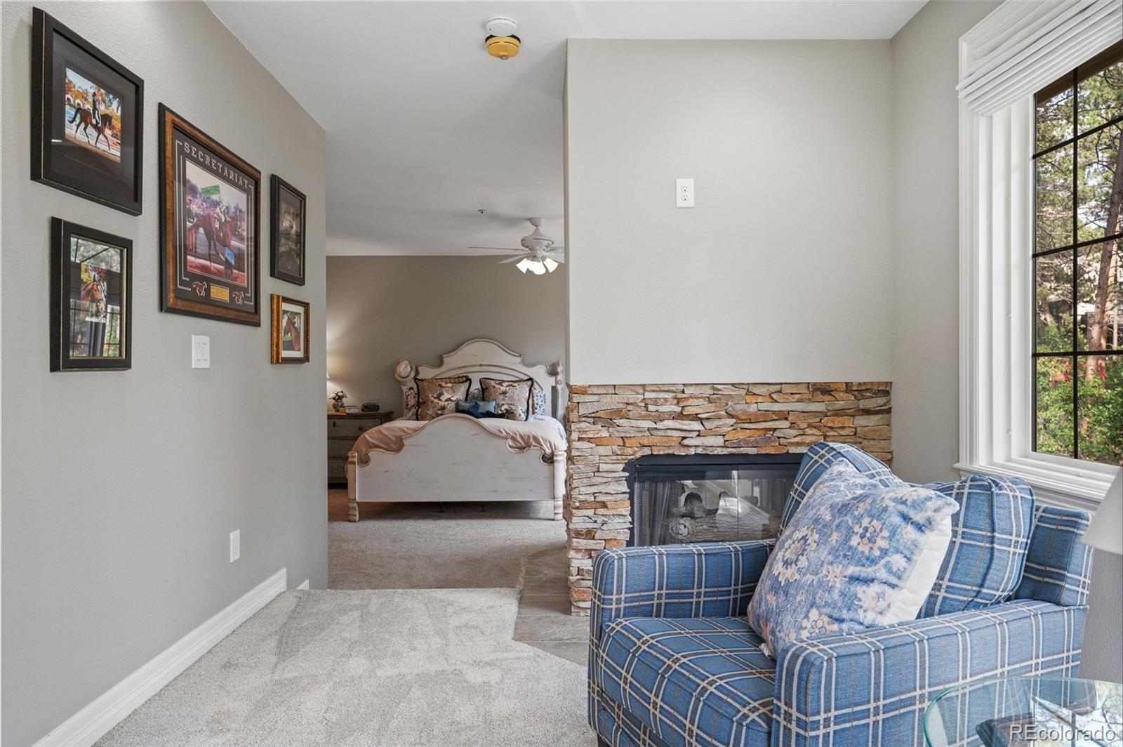 MLS Image #19 for 467  lorraway drive,castle rock, Colorado