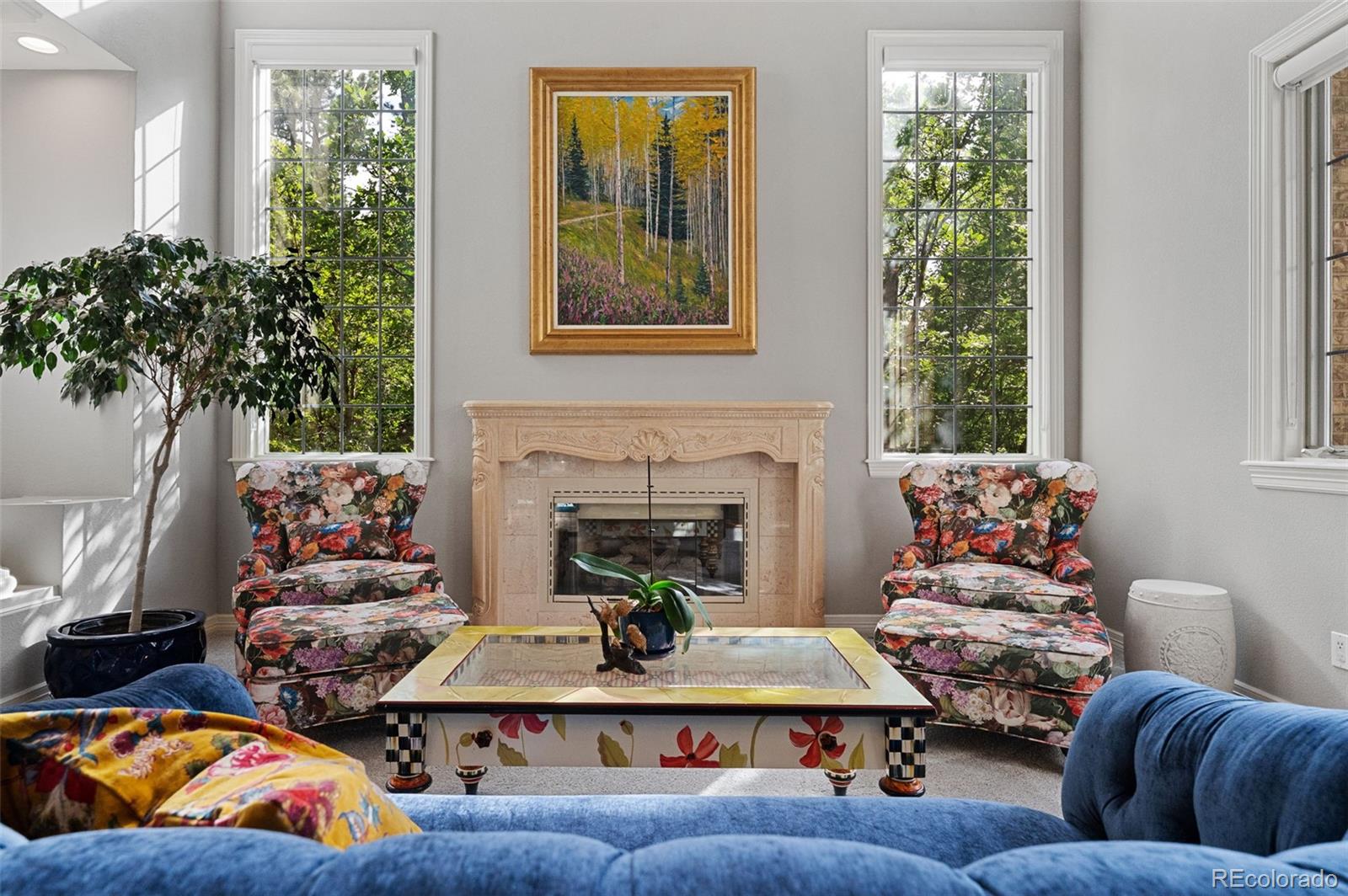 MLS Image #5 for 467  lorraway drive,castle rock, Colorado
