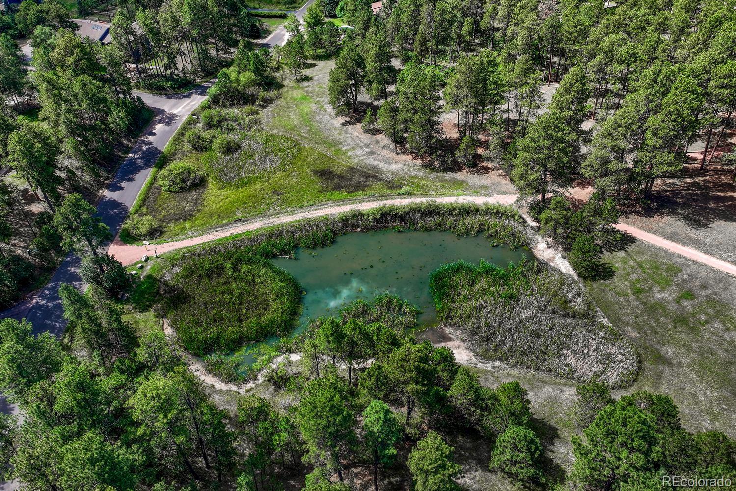 MLS Image #6 for 19635 w top o the moor drive,monument, Colorado