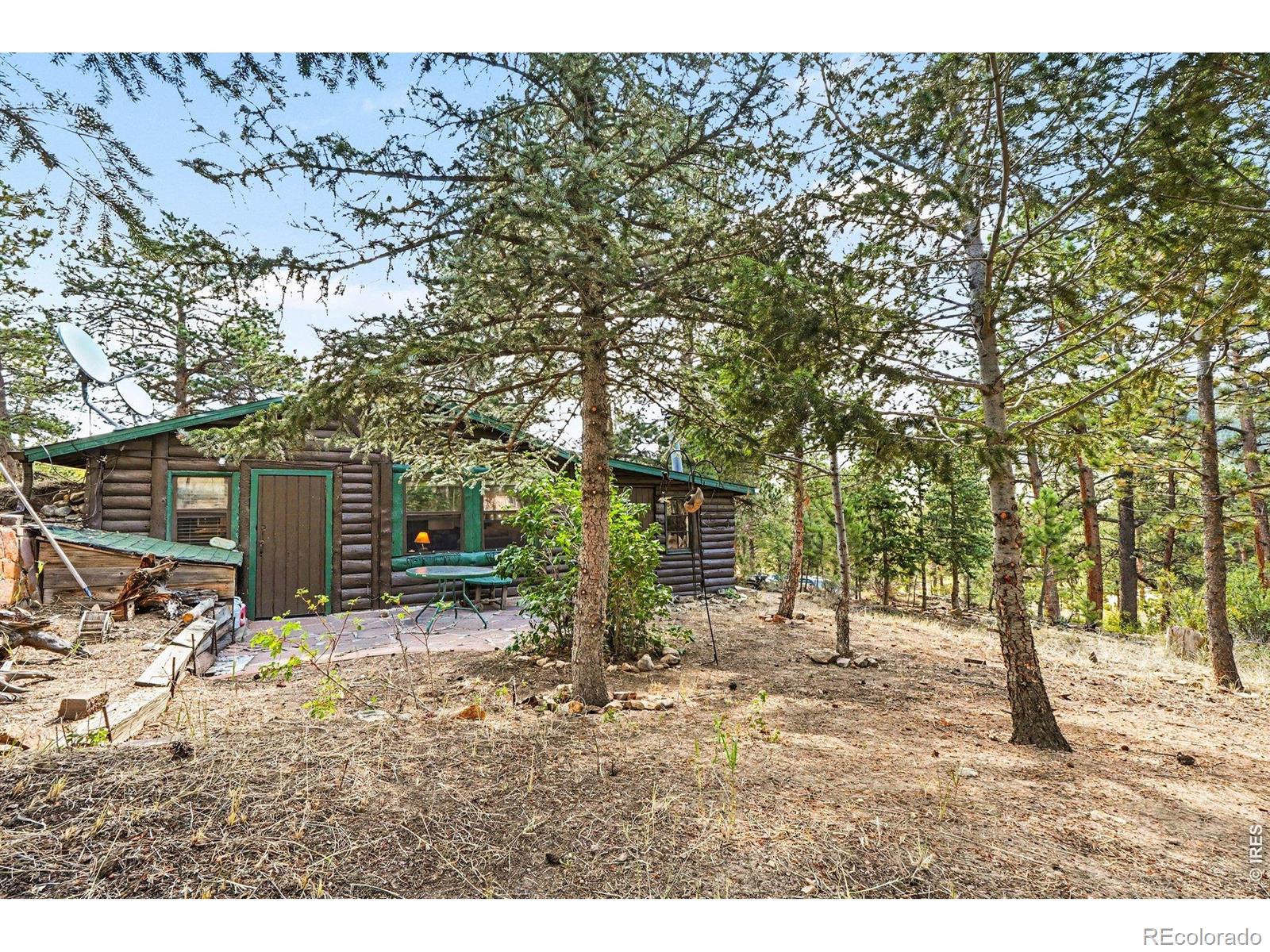 MLS Image #1 for 360  ski road,allenspark, Colorado