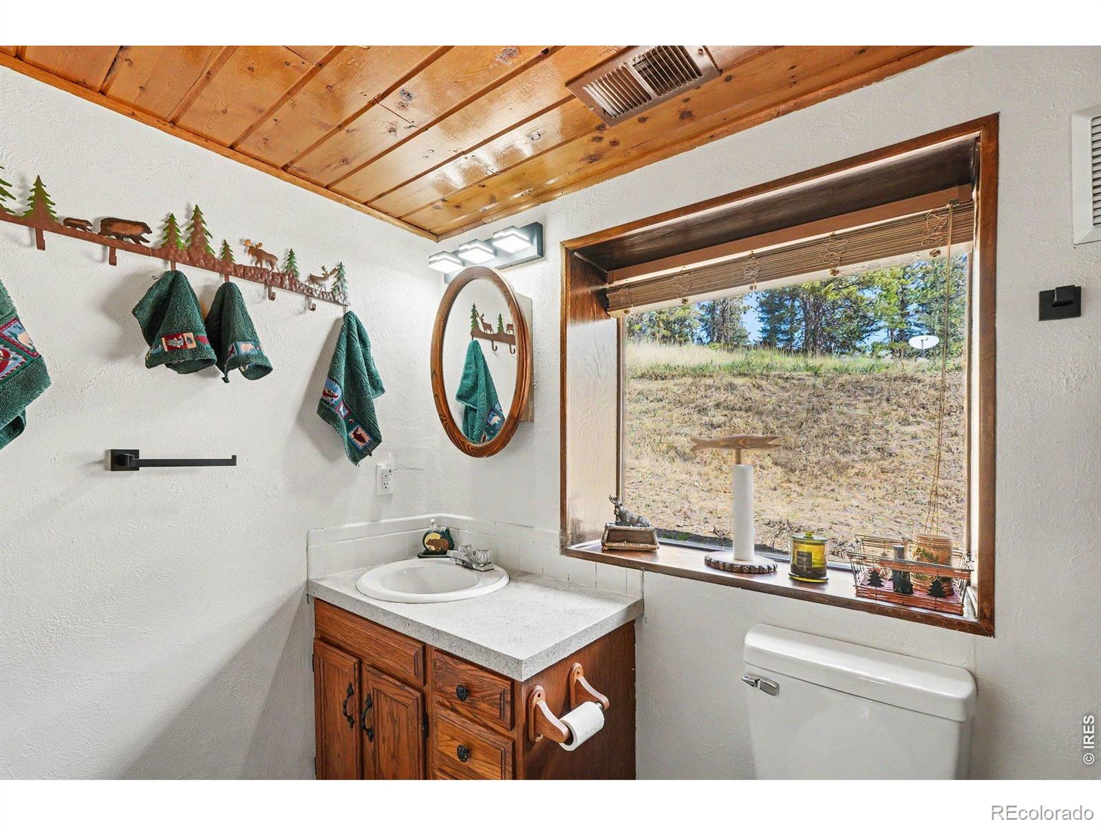 MLS Image #12 for 360  ski road,allenspark, Colorado