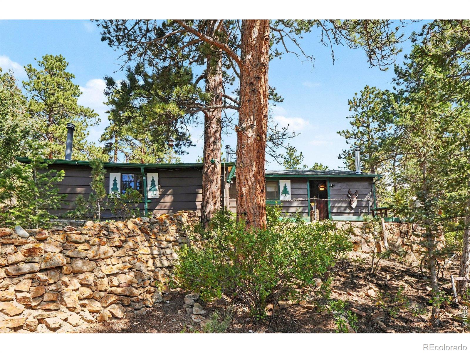 MLS Image #14 for 360  ski road,allenspark, Colorado