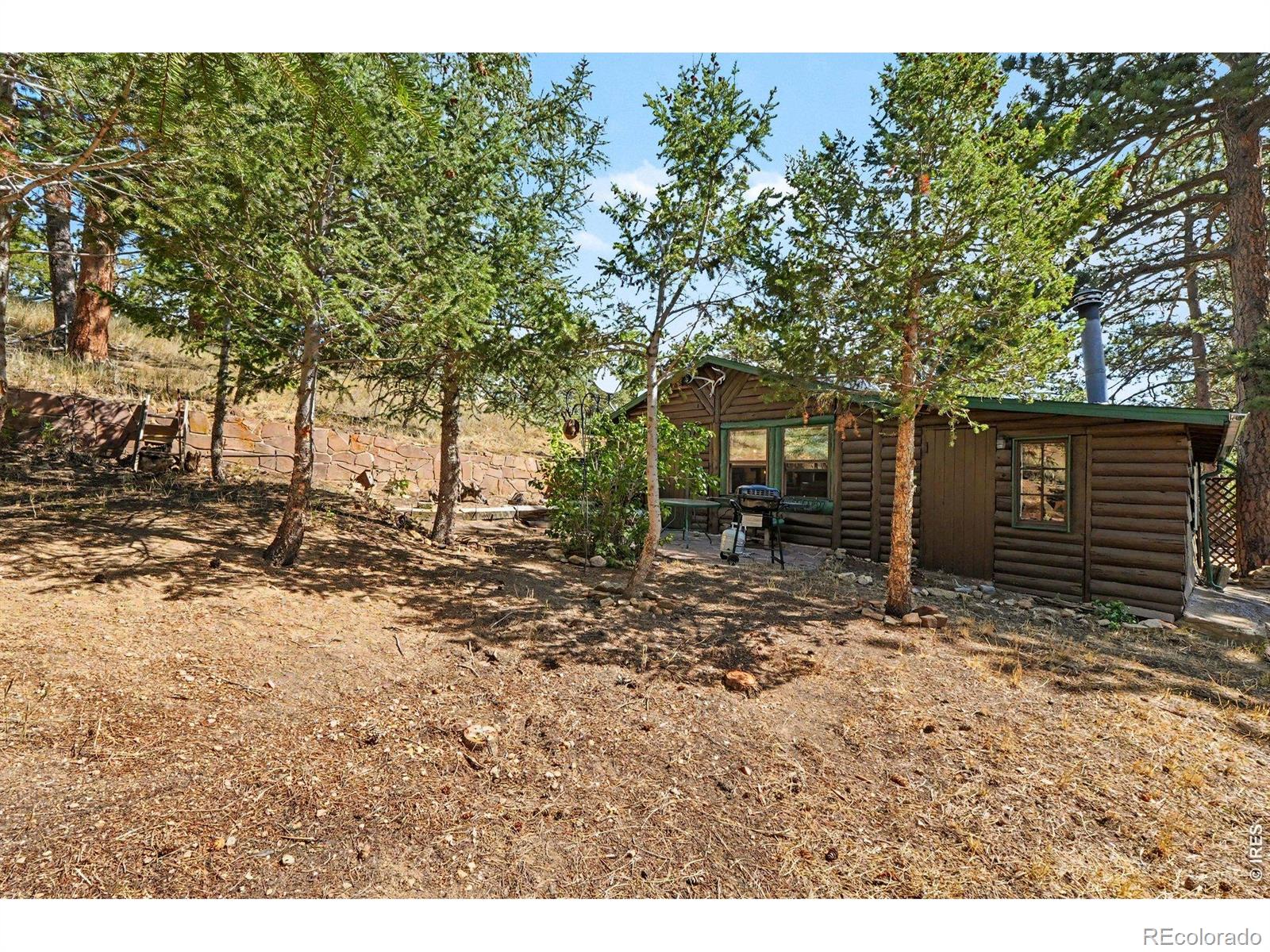 MLS Image #15 for 360  ski road,allenspark, Colorado