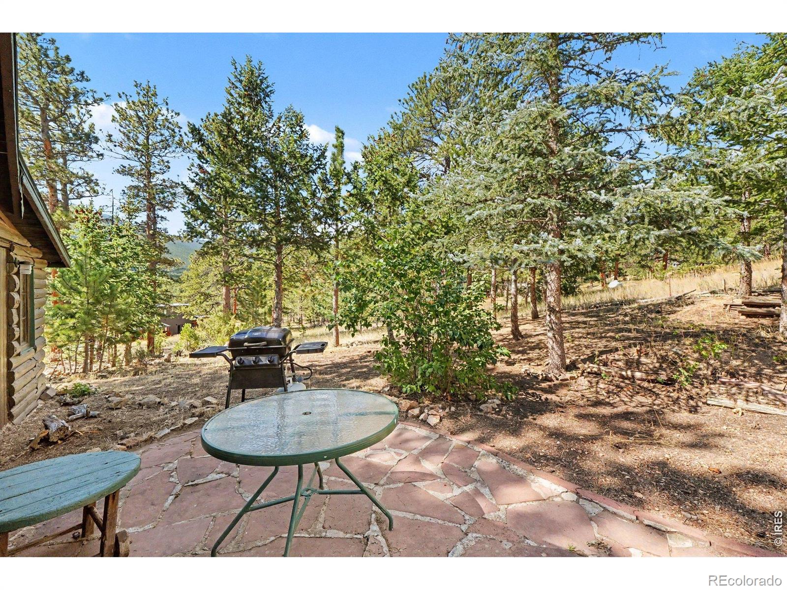 MLS Image #16 for 360  ski road,allenspark, Colorado