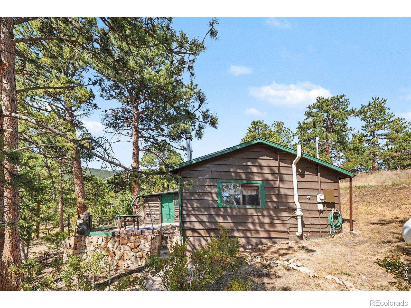 MLS Image #17 for 360  ski road,allenspark, Colorado