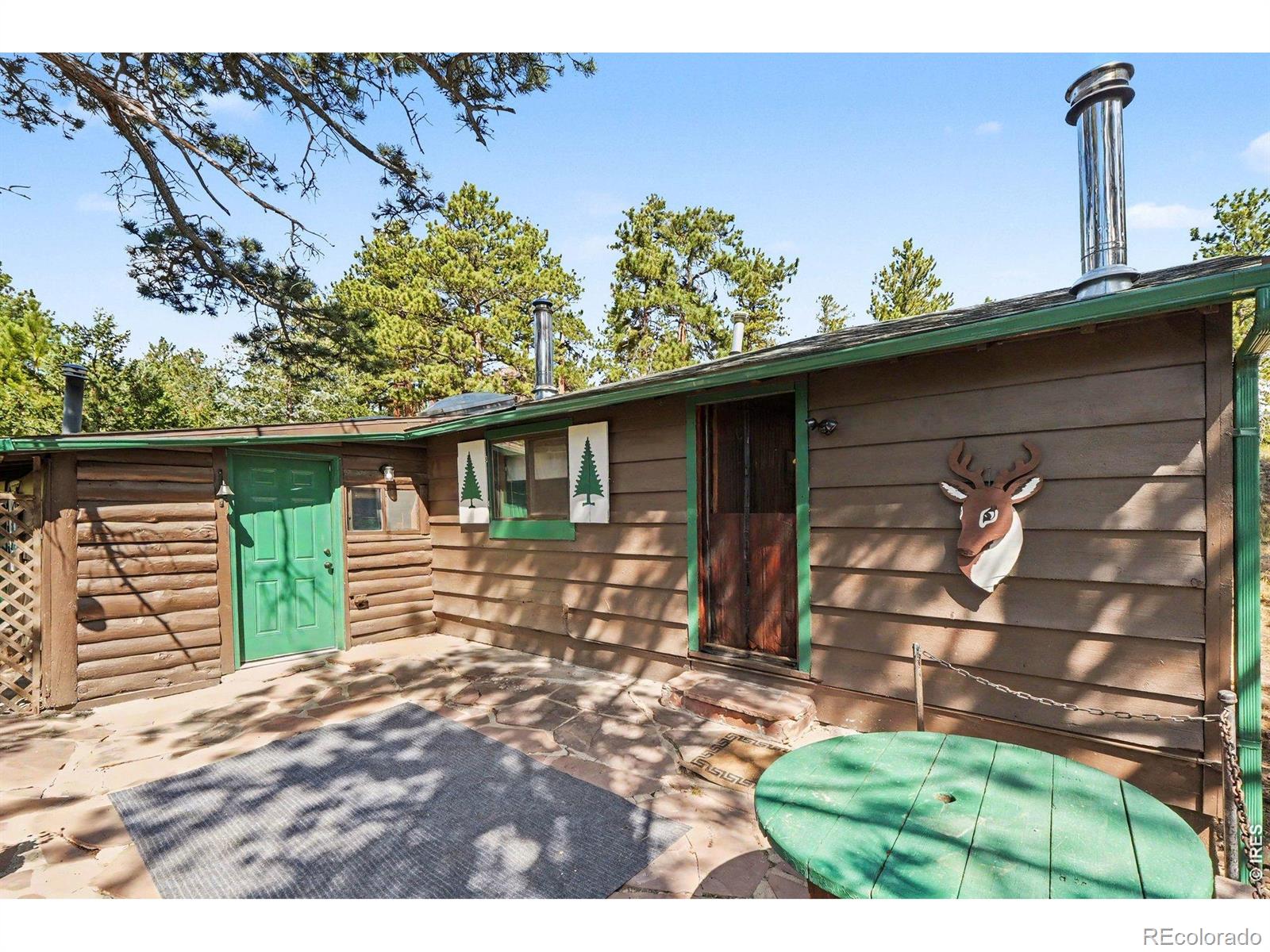 MLS Image #18 for 360  ski road,allenspark, Colorado