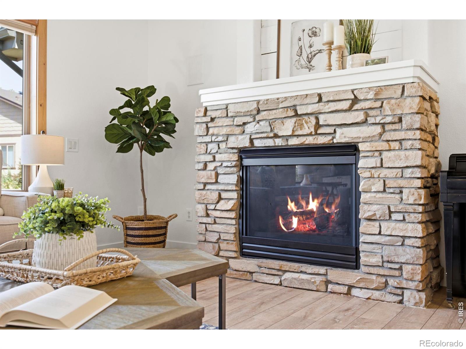 MLS Image #5 for 900  messara drive,fort collins, Colorado