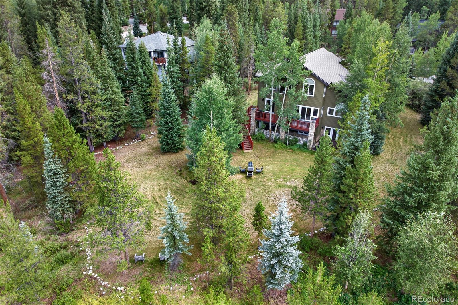 MLS Image #31 for 1210  brooks hill drive,breckenridge, Colorado