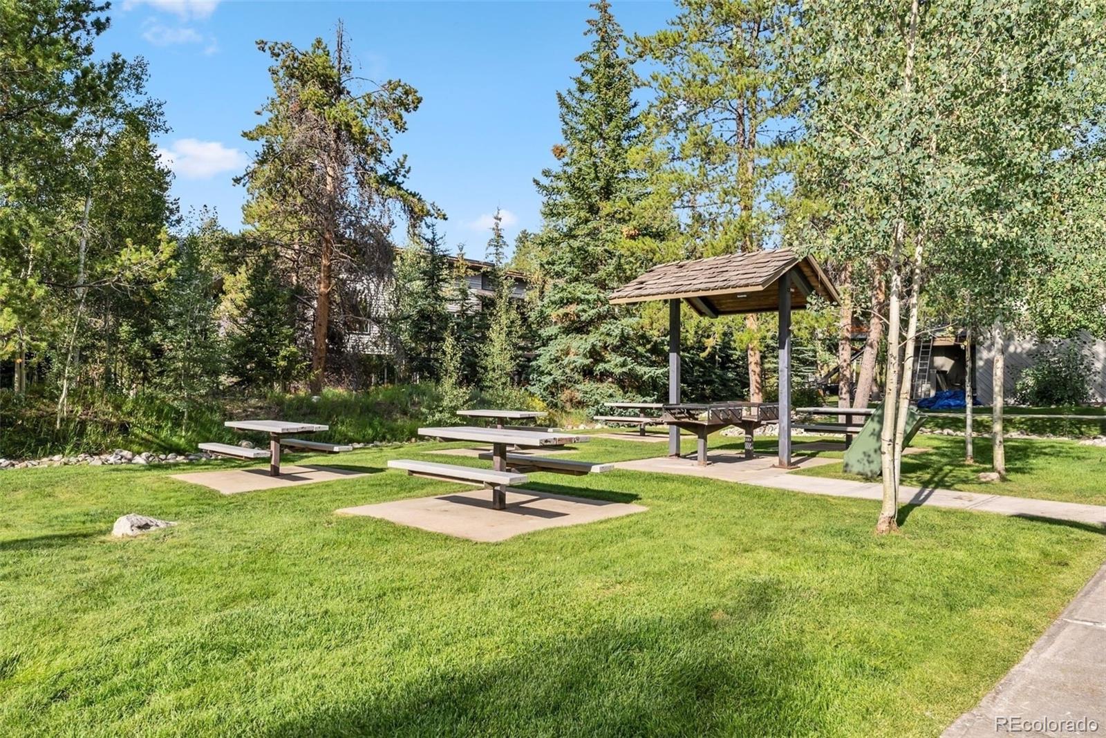 MLS Image #23 for 1937  soda ridge road,dillon, Colorado