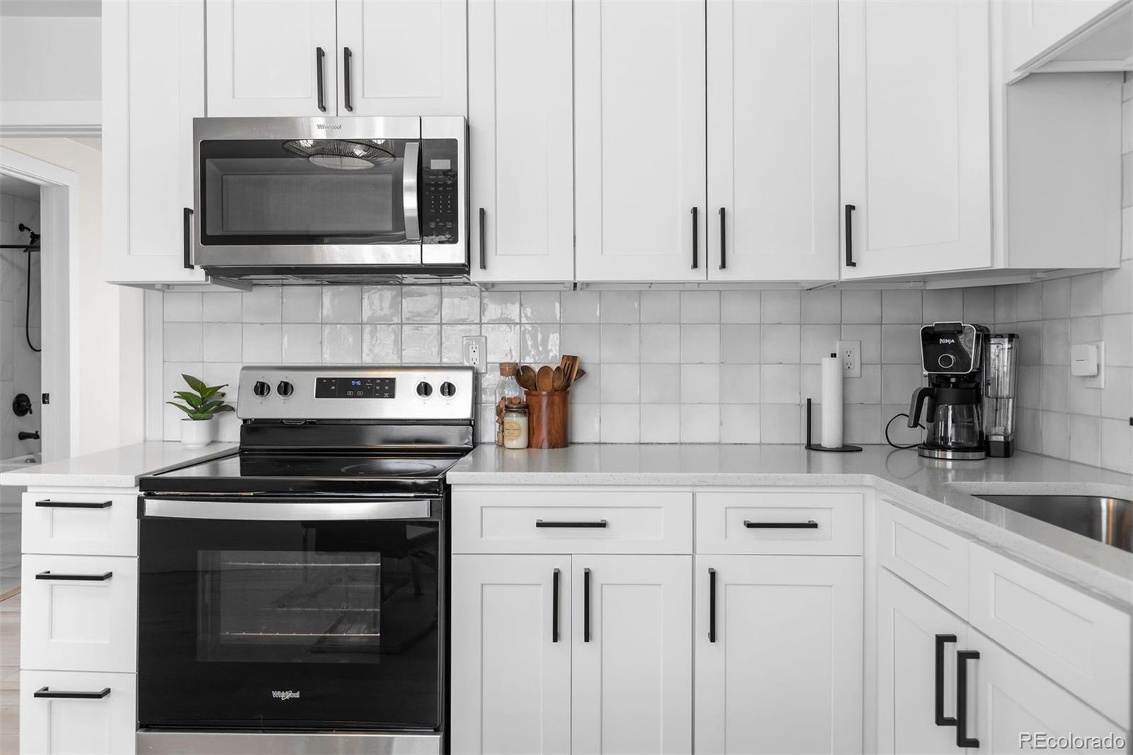 MLS Image #13 for 514 s lowell boulevard,denver, Colorado