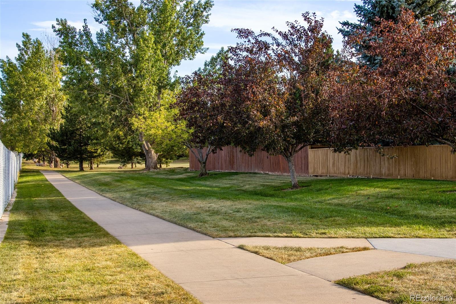 MLS Image #8 for 4214  rolling gate road,fort collins, Colorado