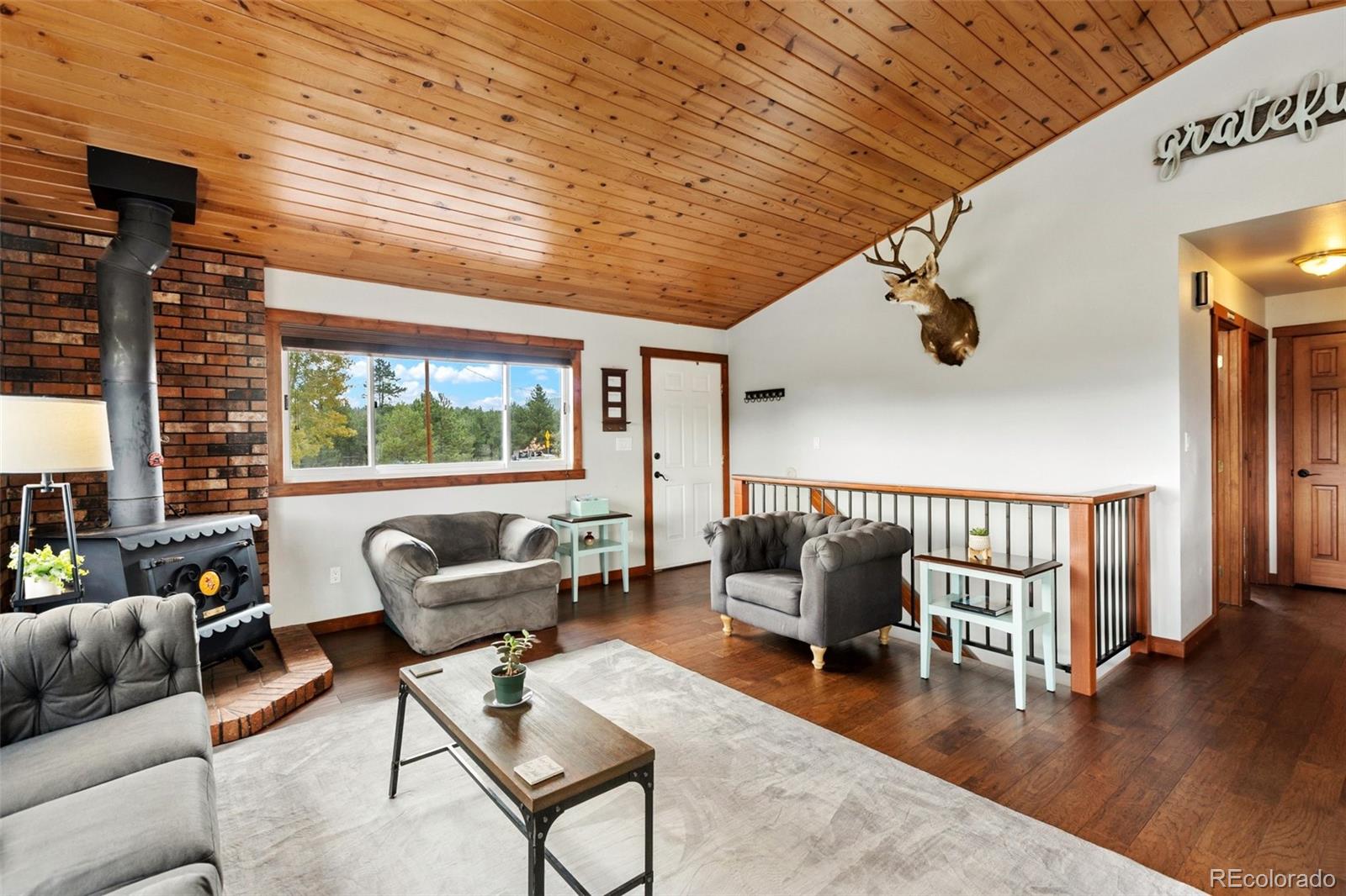 MLS Image #13 for 100  mills ranch road,woodland park, Colorado