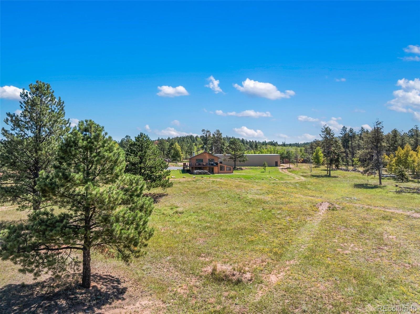 MLS Image #8 for 100  mills ranch road,woodland park, Colorado