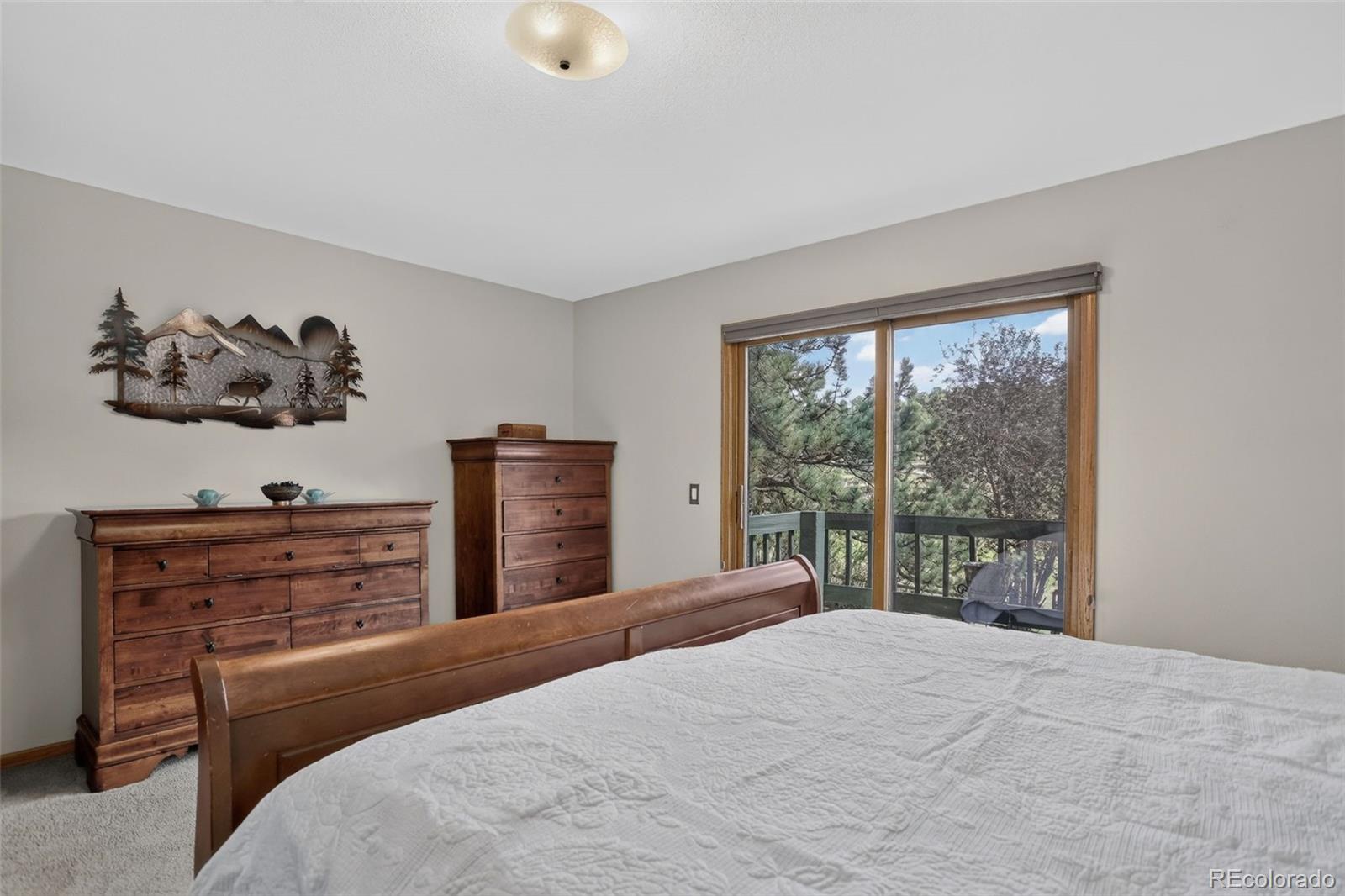 MLS Image #29 for 31667  broadmoor drive,evergreen, Colorado