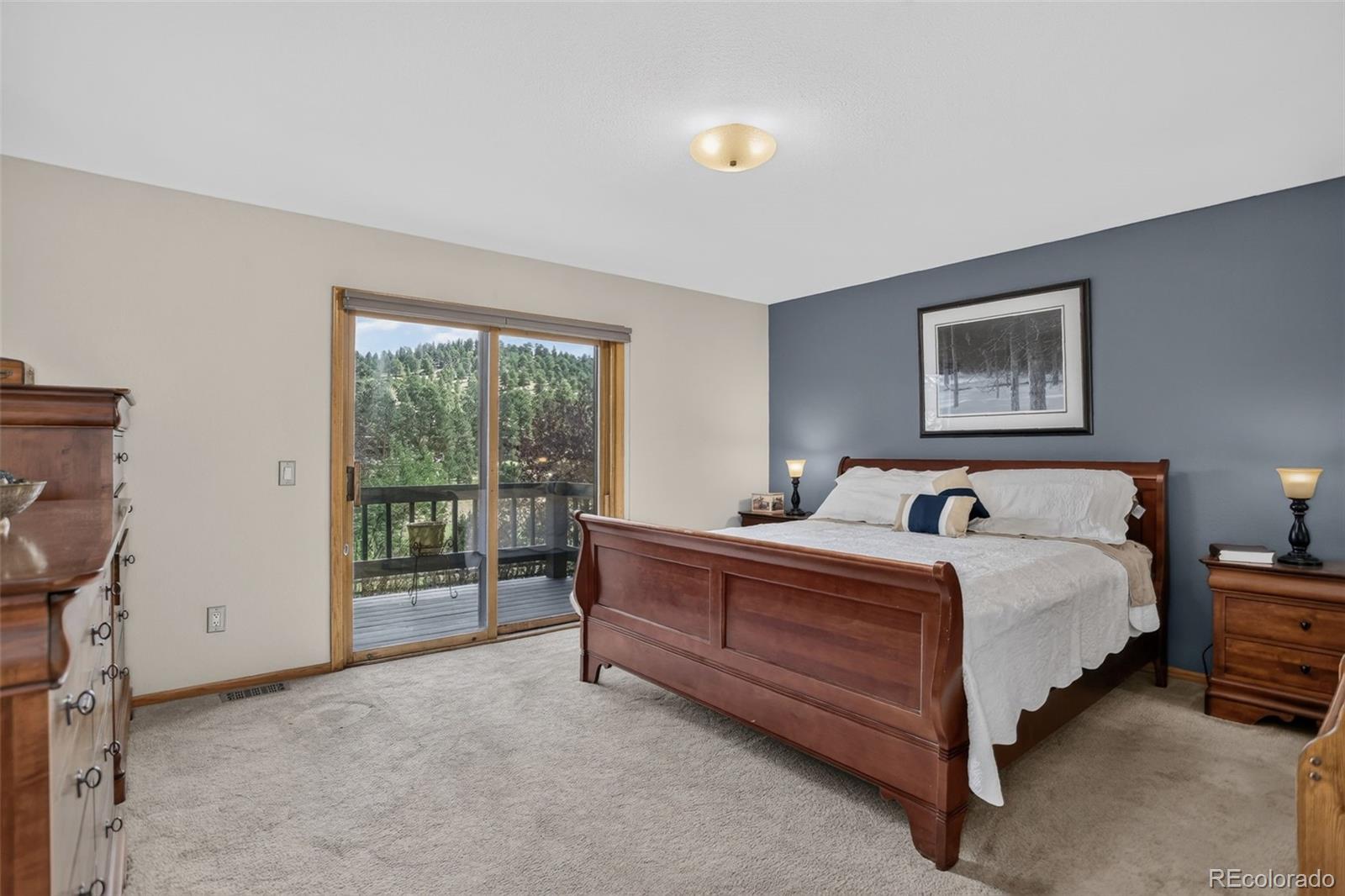 MLS Image #30 for 31667  broadmoor drive,evergreen, Colorado